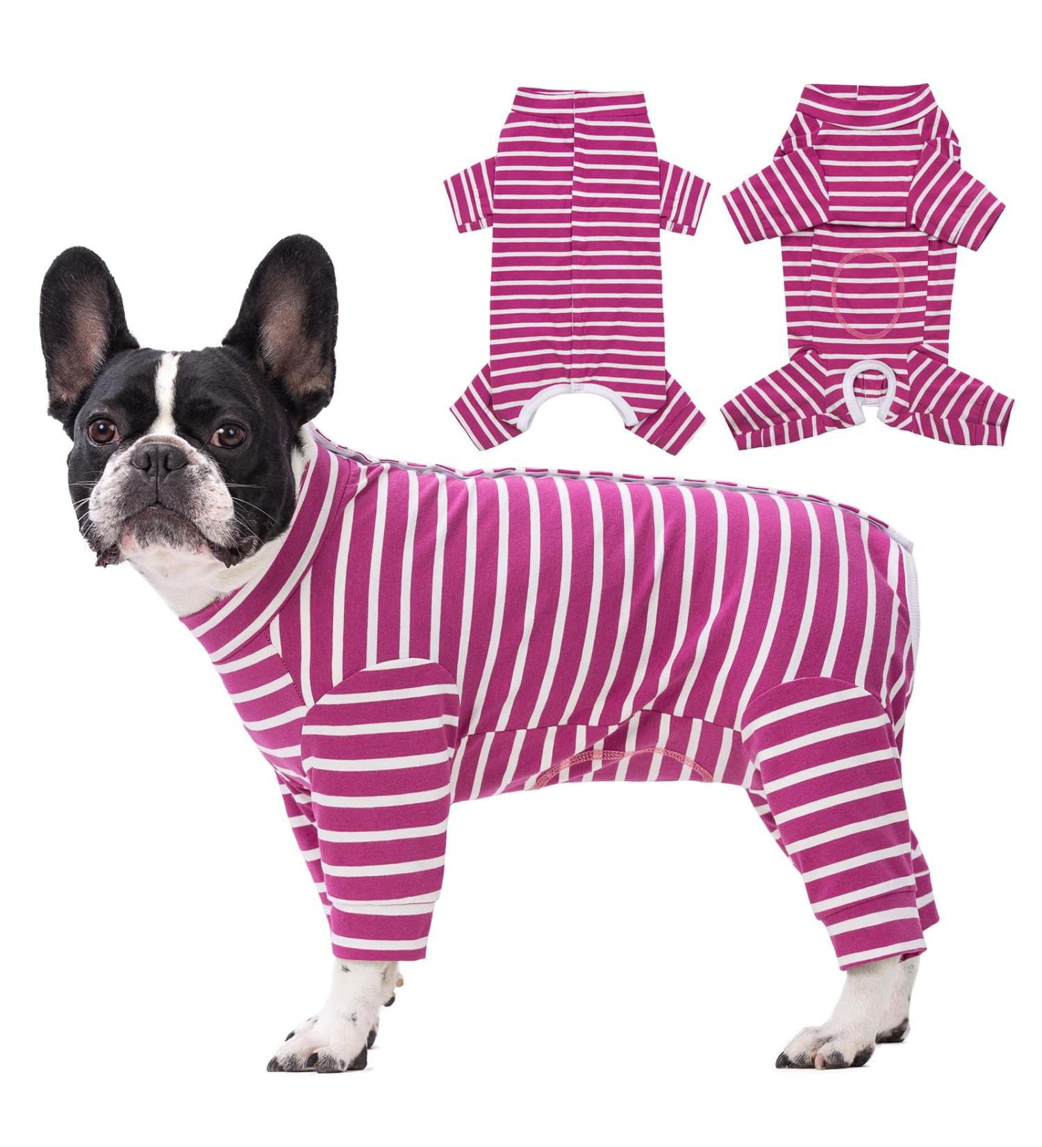 Axcimond One-Divider Long-Sleeved Dog Body - Post-Op Wound Protection for Small & Medium Dogs | Anti-Leak Cone Alternative - Buy Online on GoSupps.com