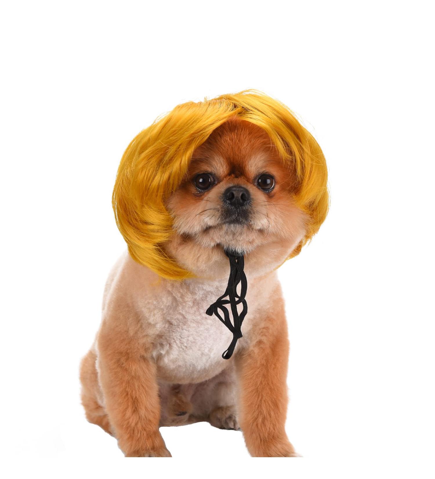 Funny Dog & Cat Role Play Wigs - Halloween Christmas & Party Costumes for Small Medium & Large Pets - Buy Online on GoSupps.com