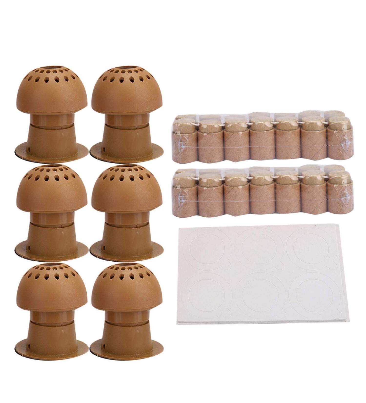 Buy Moxibustion Box: Chinese Moxa Sticks & Mini Heating Therapy Set for Fatigue Relief - Buy Online on GoSupps.com