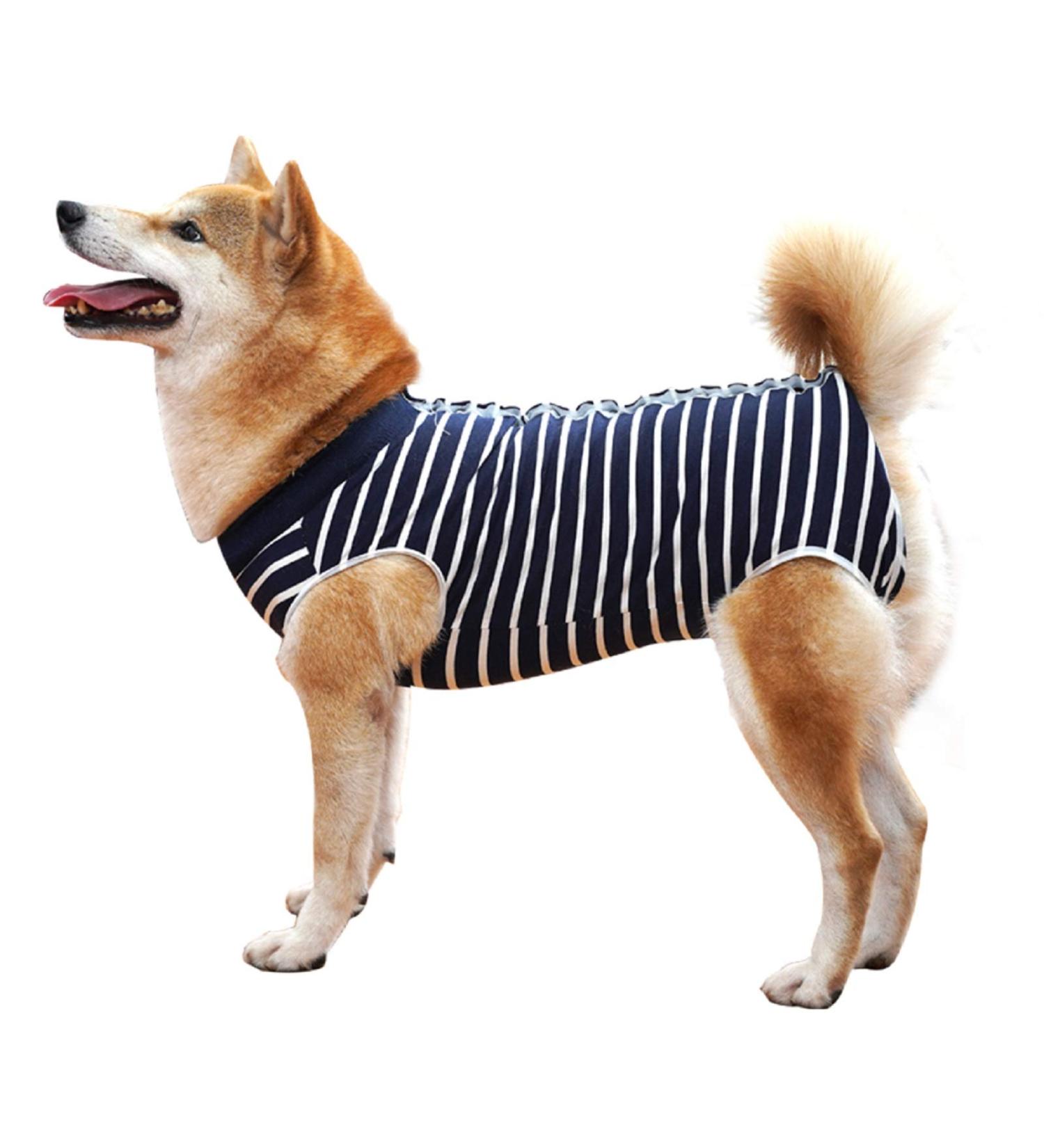 Shop XL Blue Striped Doton Hospital Suit for Dogs & Cats | Wound Protection Medical Clothing & After Surgery Cone Replacement - Buy Online on GoSupps.com
