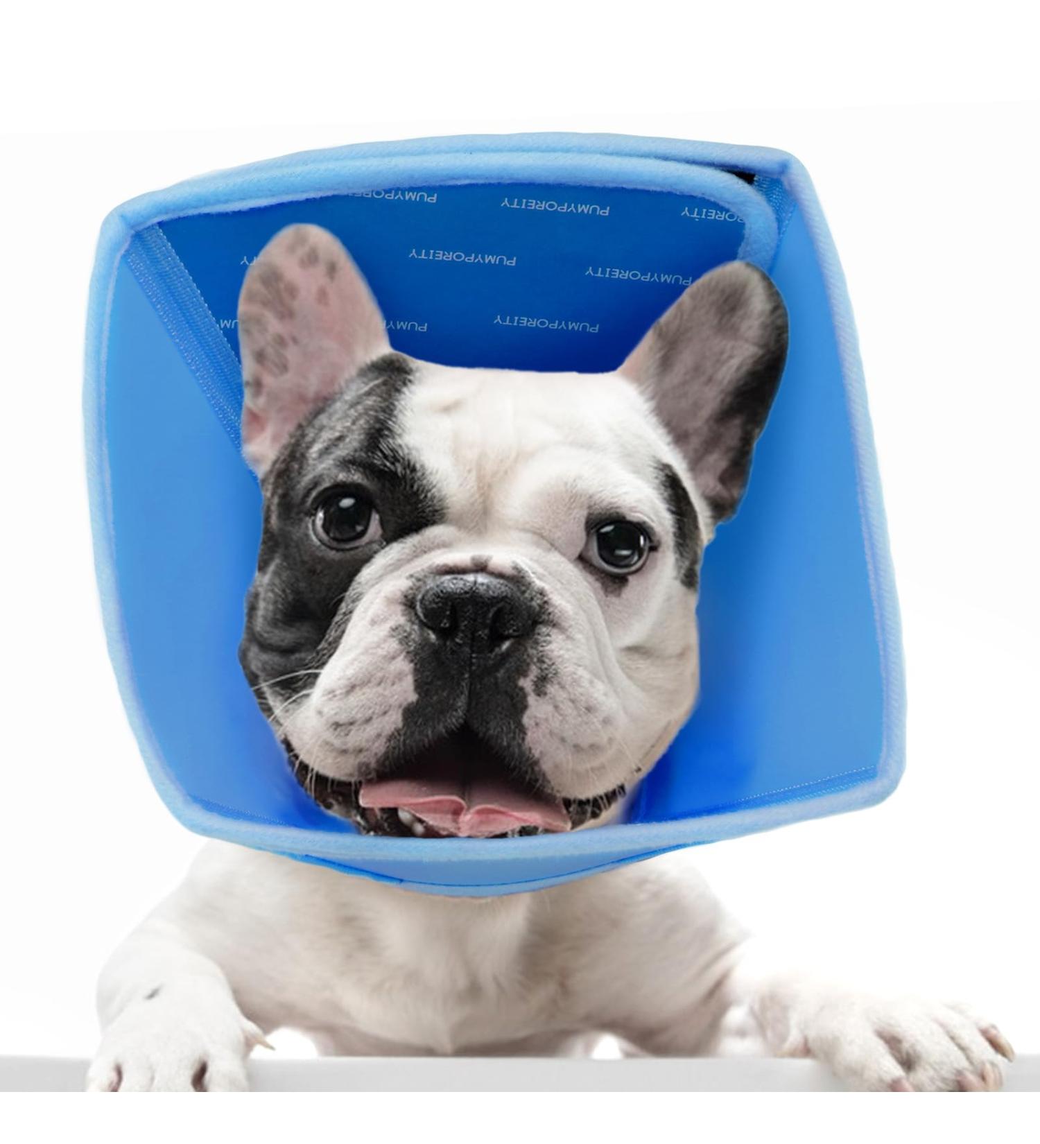 Roll Ruff Dog Protective Collar - Adjustable Leak Protection Neck Band for Small to Large Dogs (Blue Medium) - Buy Online on GoSupps.com