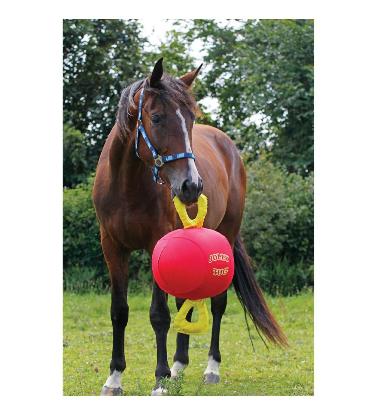 Signature Horsemen's Pride 14-Inch Horse Jolly Tug Blue one size - Buy Online on GoSupps.com