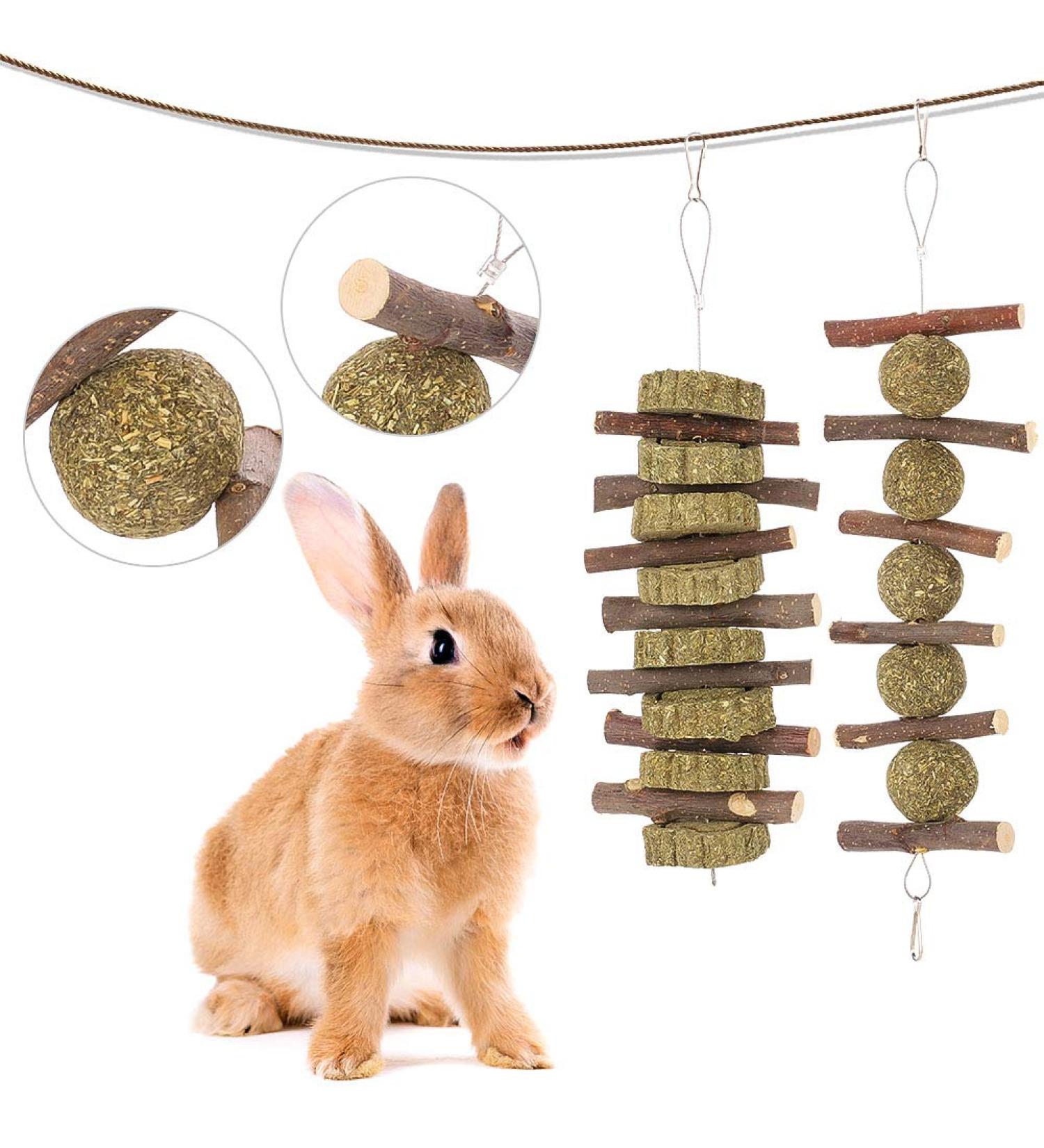 tiopeia 2 Pack Bunny Chew Toys for Teeth Molar Rabbit Toys Hamster Chew Toys Sticks Pet Chew Toy for Rabbits Chinchillas Hamsters Chewing or Playing - Buy Online on GoSupps.com