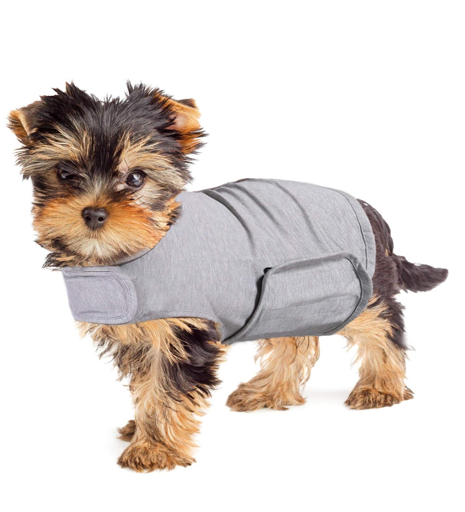 YUKOOL Anxiety Coat for Dogs - Lightweight Calming Jacket Vest (XS Gray) | Reduce Anxiety & Stress - Buy Online on GoSupps.com