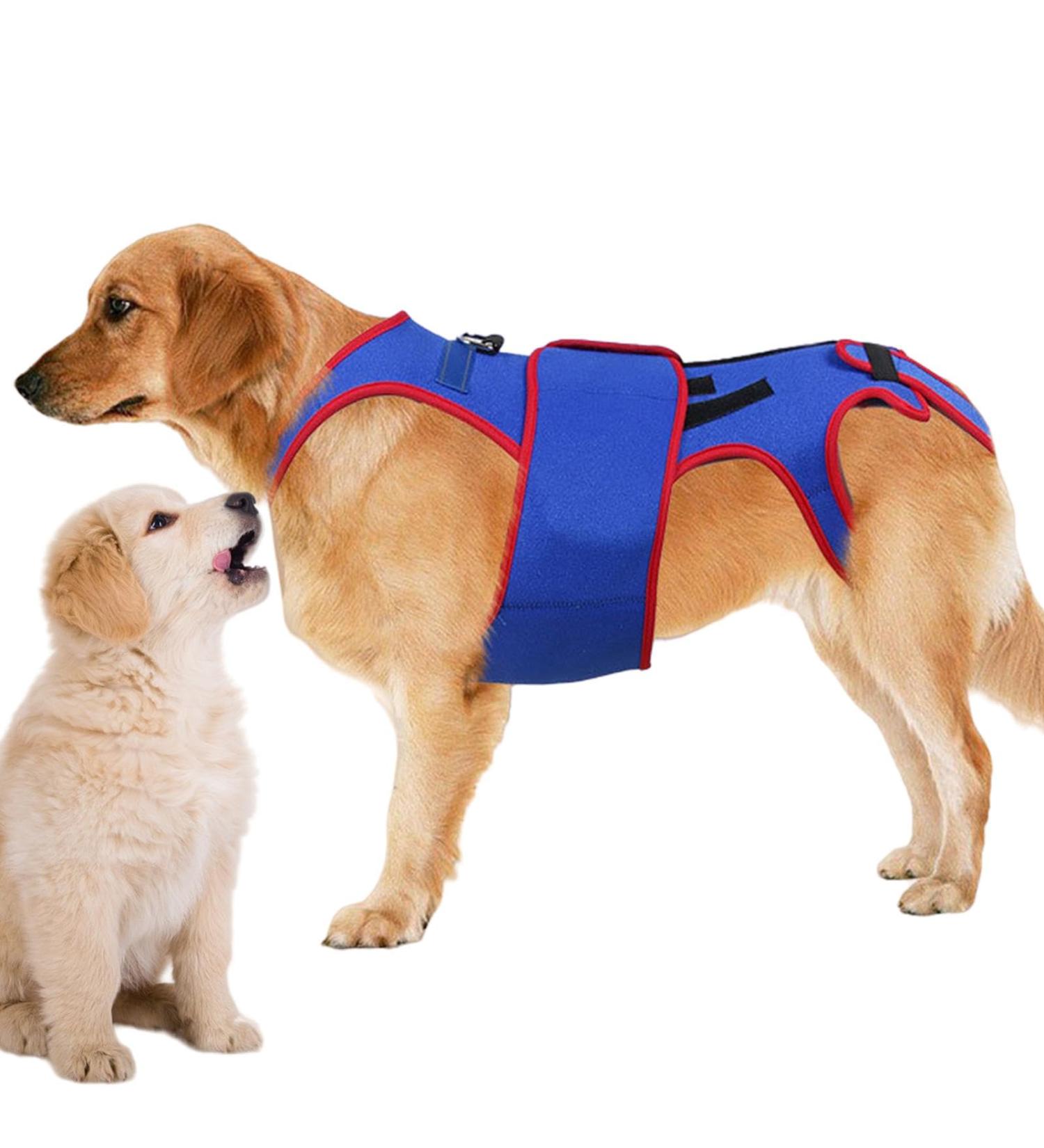 GUANGLU Dog Back Brace Support | Pet Back Bracer for IVDD | D-Ring and Reflective Strips Back Protector Support Helps Hurt Relief Dogs Back - Buy Online on GoSupps.com