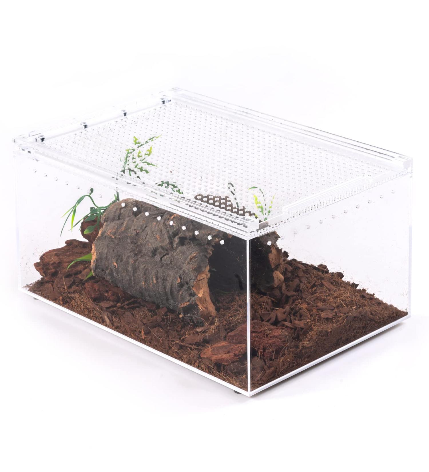 Acrylic Reptile Enclosure Tank for Tarantulas, Mantises, and Spiders - 11.8*7.9*5.9inch - Buy Online on GoSupps.com