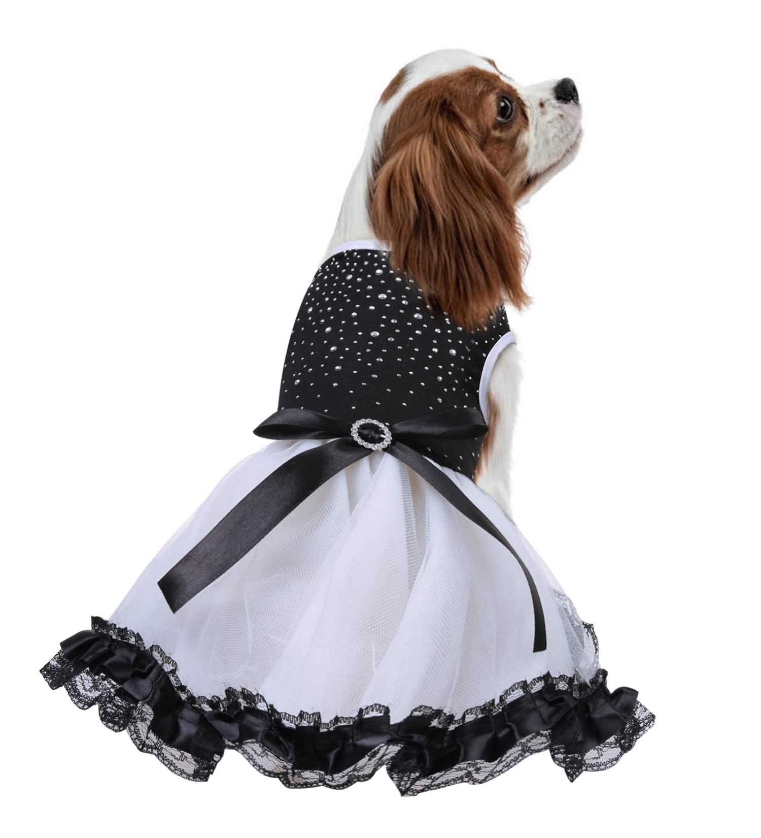 Dog Wedding Dress Summer Lace Skirt Tutu with Bow | Puppy Princess Formal Clothes for Small/Medium Dogs | Luxury Pet Birthday Party Costume (M, Black) - Buy Online on GoSupps.com