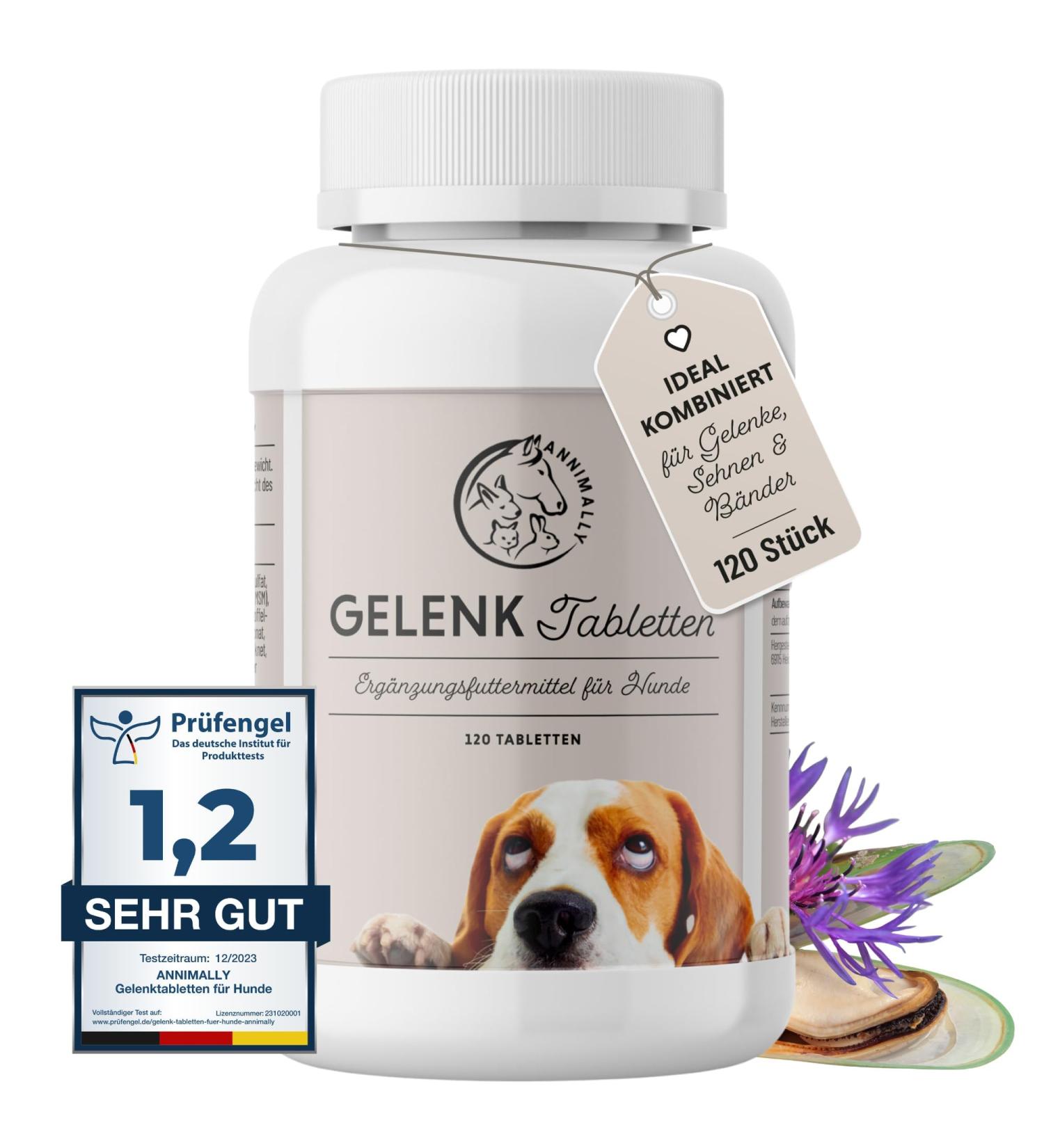 Journey Tablets for Dogs - MSM Green Lipped Mussel Devil's Claw & Glucosamine - 120 Joint Support Tablets - Easy to Administer for High Acceptance - Buy Online on GoSupps.com