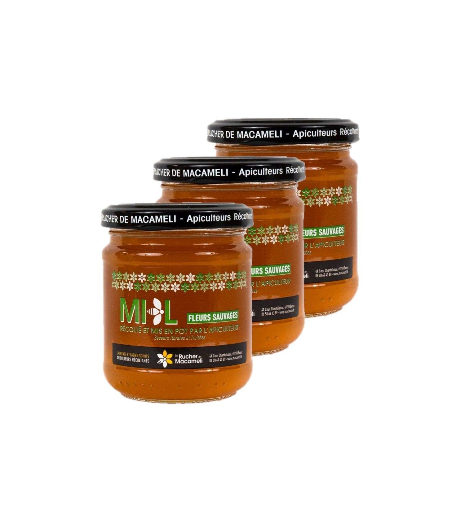Set of 3 Wild Flower Honey – Monts du Lyonnais – Rhône Alpes – Le Rucher de Macameli – Pot 250 g