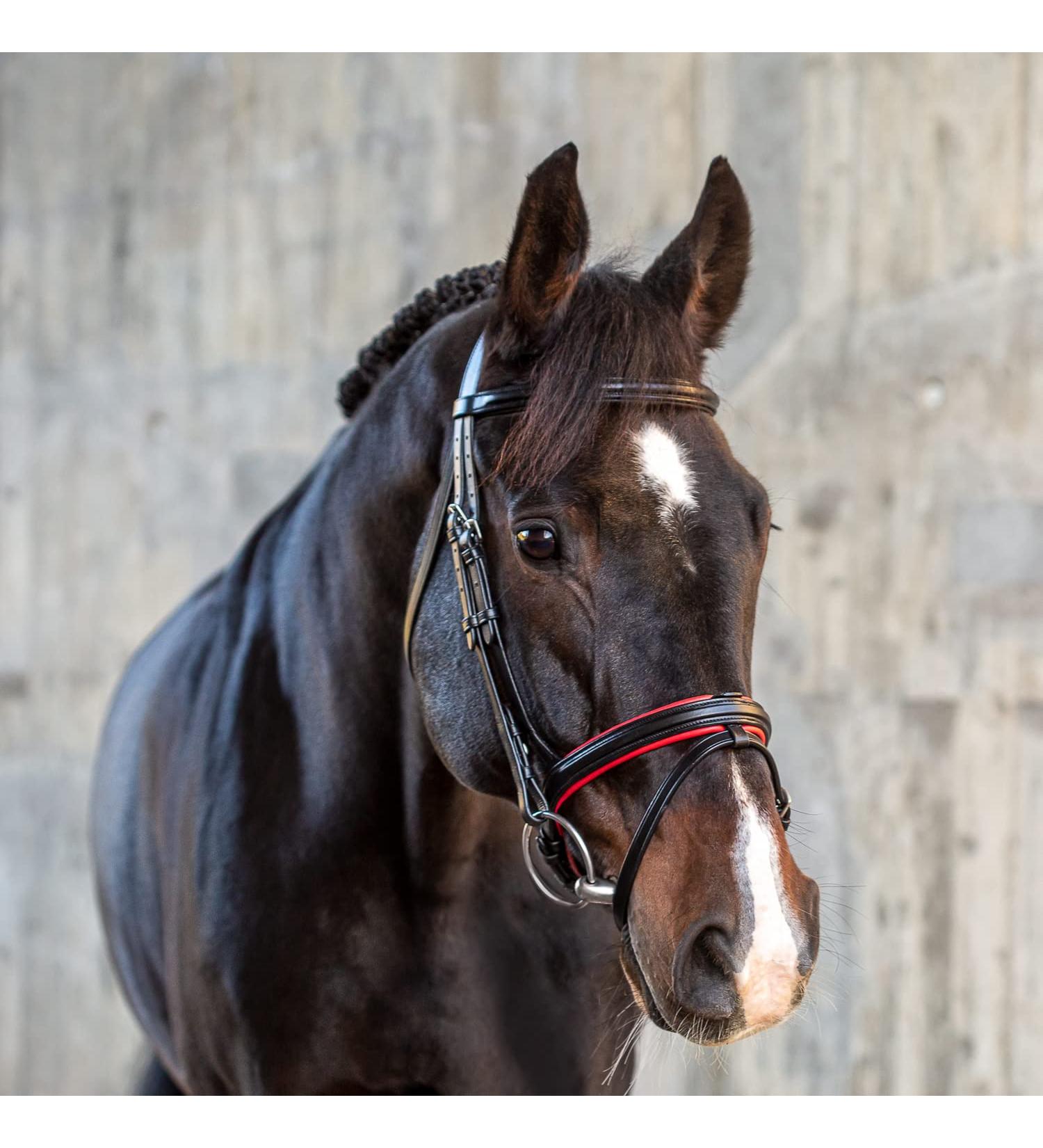 Sunride English Combined Bridle Hawaii with Reins - Soft Real Leather Adjustable & Anatomical (COB Black/Red) | International Shipping Available - Buy Online on GoSupps.com
