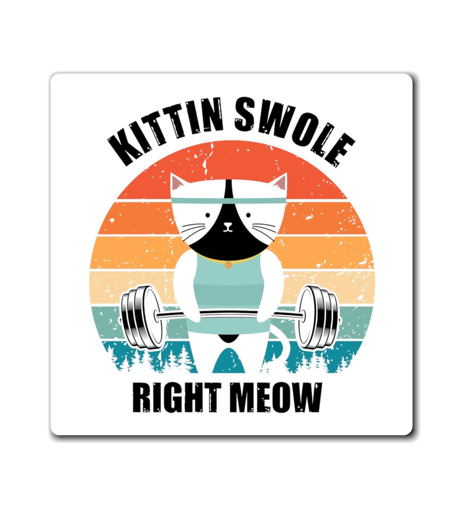 Hilarious Kitten Swole Exercise Exercising Kitten Lover Humorous Sarcasm Derision Ridicule Satire Puss Magnets 4" 4" - Buy Online on GoSupps.com