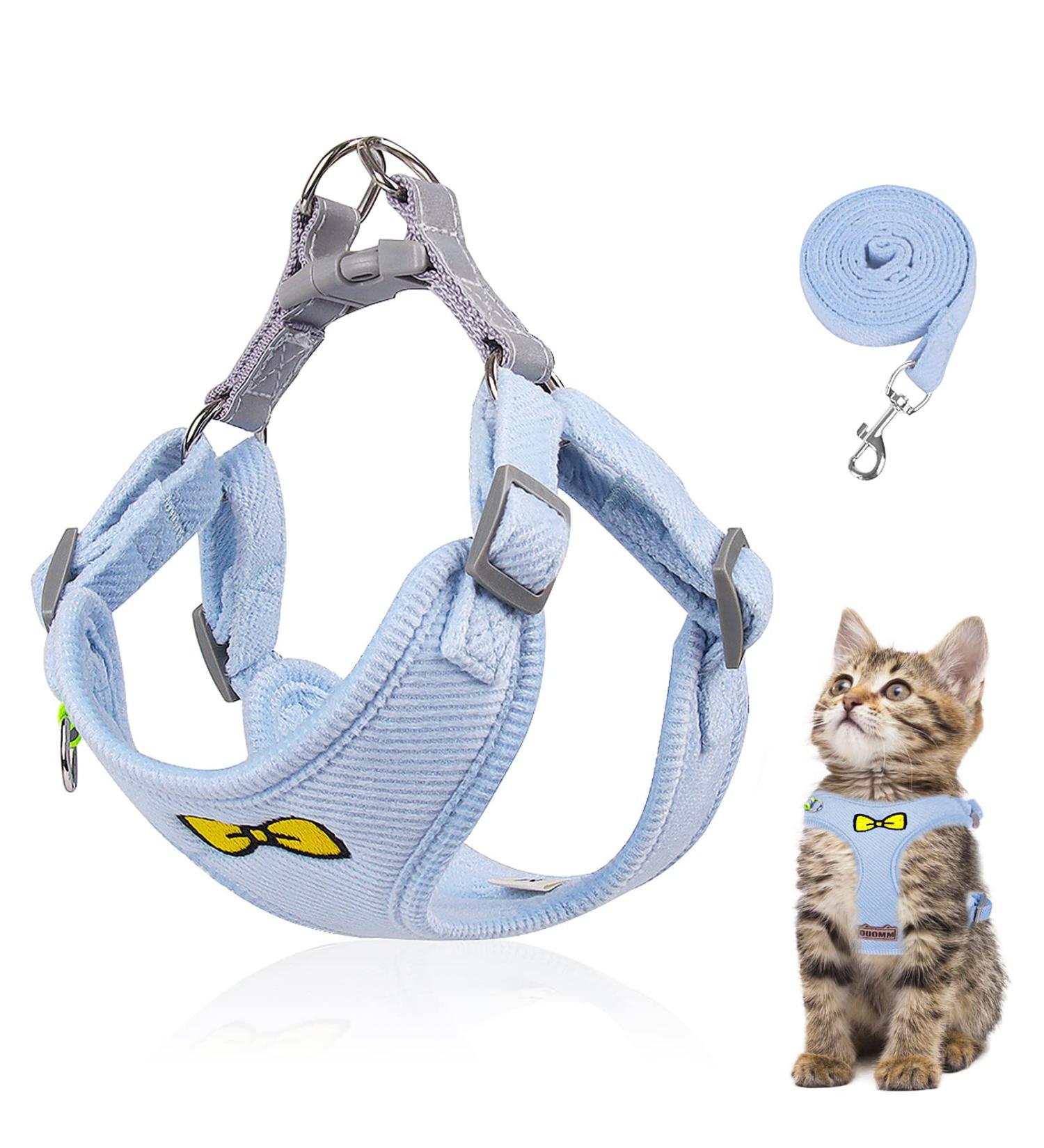 Adjustable Cat Leash Set & Outbreak-Proof Dishes for Cats and Kittens - Blue | International Shipping Available - Buy Online on GoSupps.com