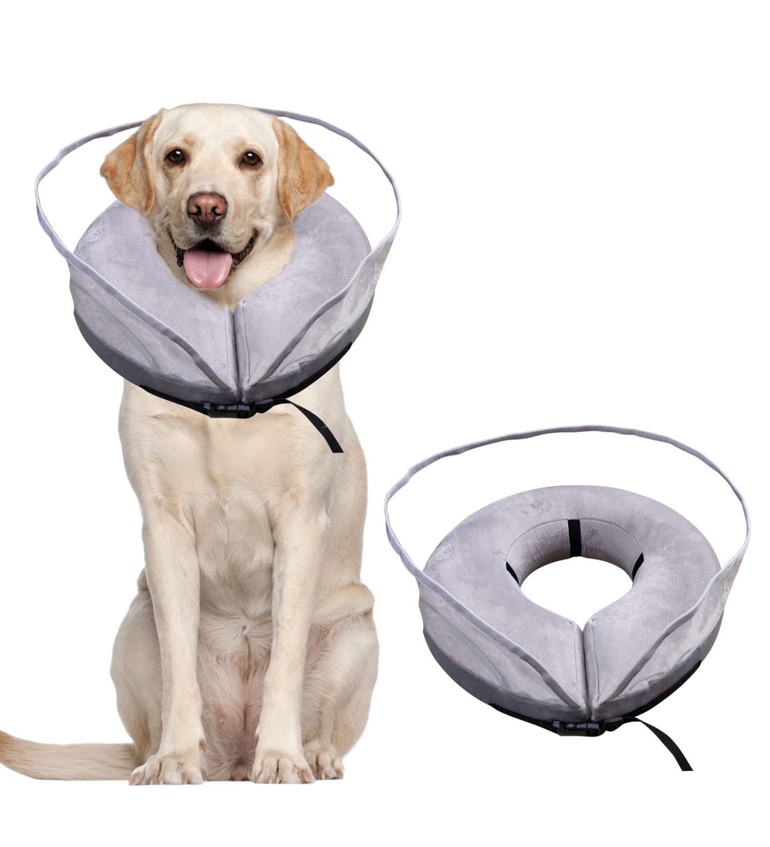 Petyoung Inflatable Dog Cone XL - Anti-Licking Baffle for Dogs After Surgery - Soft Cone for Small, Medium, and Large Breeds (Neck 19-25 in) - Buy Online on GoSupps.com