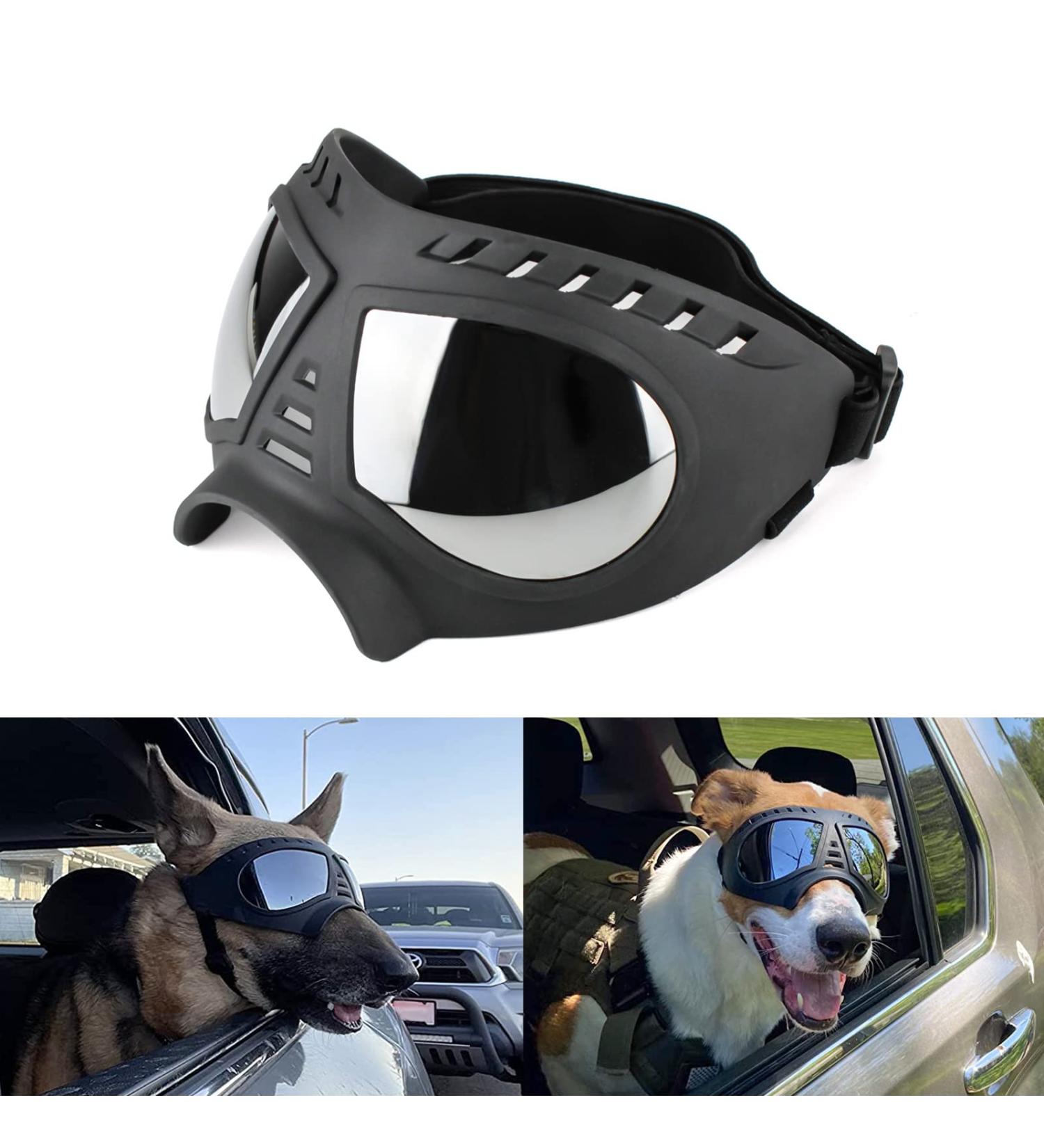 Medium to Large Breed Dog Sunglasses | Sun & Wind Protection Goggles for Outdoor Sports | Black - Buy Online on GoSupps.com