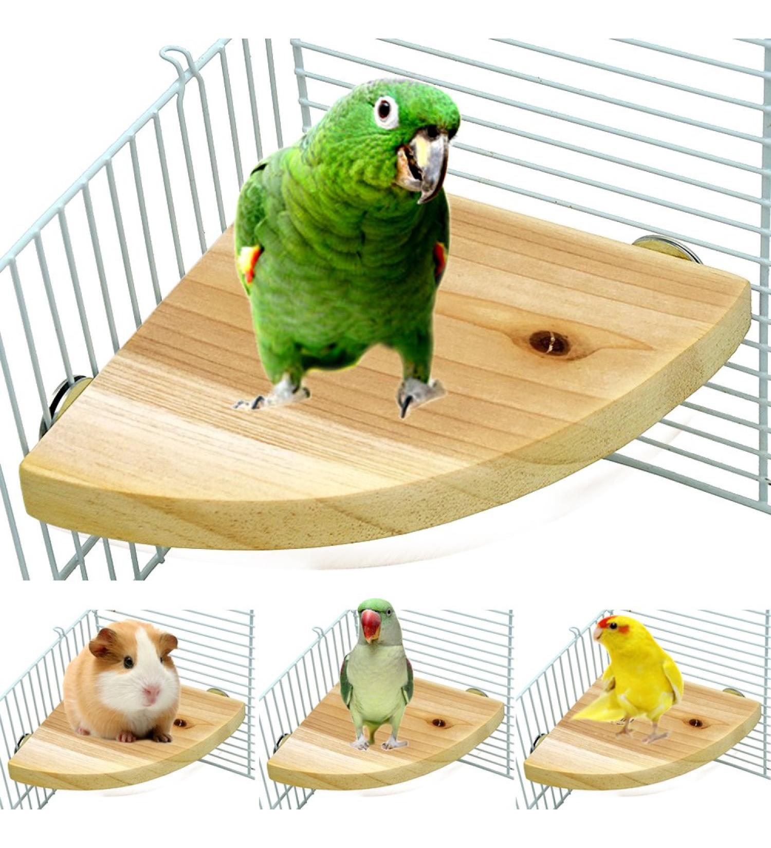 Borangs Wood Perch Bird Platform 7-inch - Cage Accessories for Small Animals - Parrot Stand Playground for Rat, Hamster, Gerbil, Mouse, Lovebird, Finches, Conure, Budgie - Exercise Toy - Buy Online on GoSupps.com