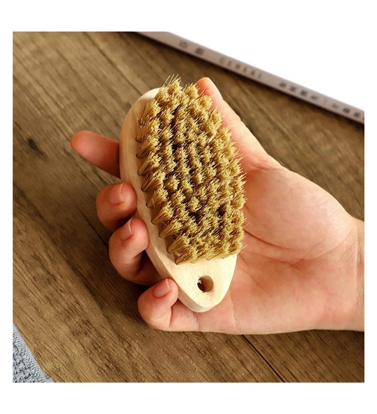 Shoe Brush 2Pcs Multi-use Clothes Shoes Brushes Household Laundry Shoes Brushes Brush Onecolor - Buy Online on GoSupps.com