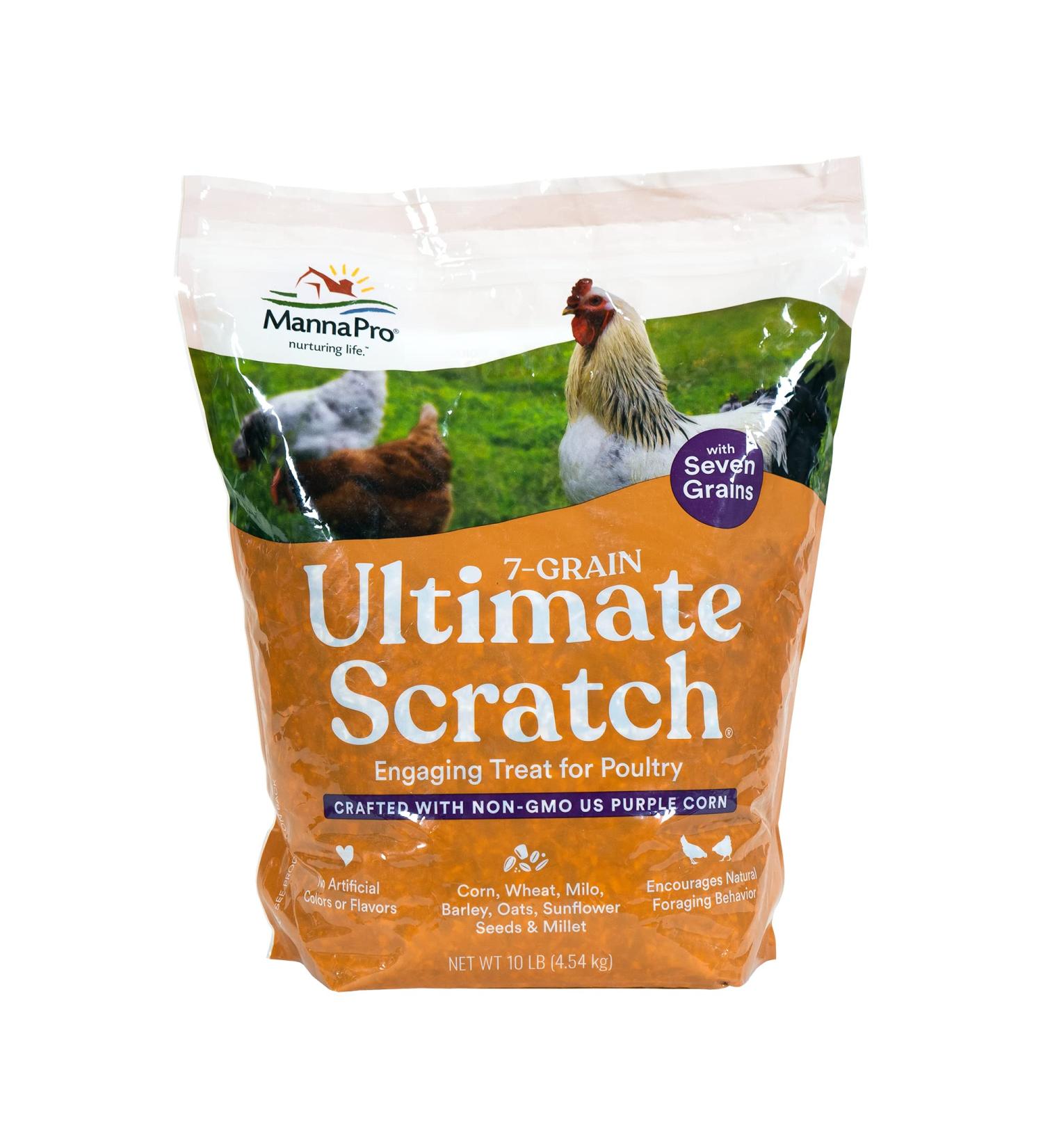 Non-GMO Manna Pro 7-Grain Chicken Scratch - 10 lbs Natural Bird Treat - Buy Online on GoSupps.com