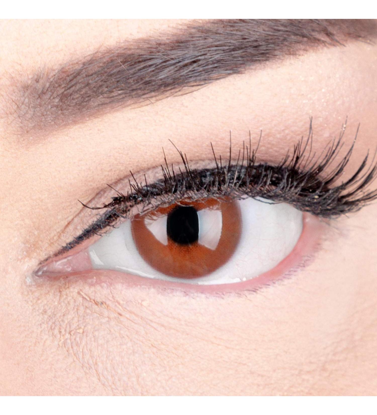 Buy Jasmine Choco Brown Premium Contact Lenses - Soft 3-Month Wear Diopter -2.0 Includes Container | GlamLenses - Buy Online on GoSupps.com