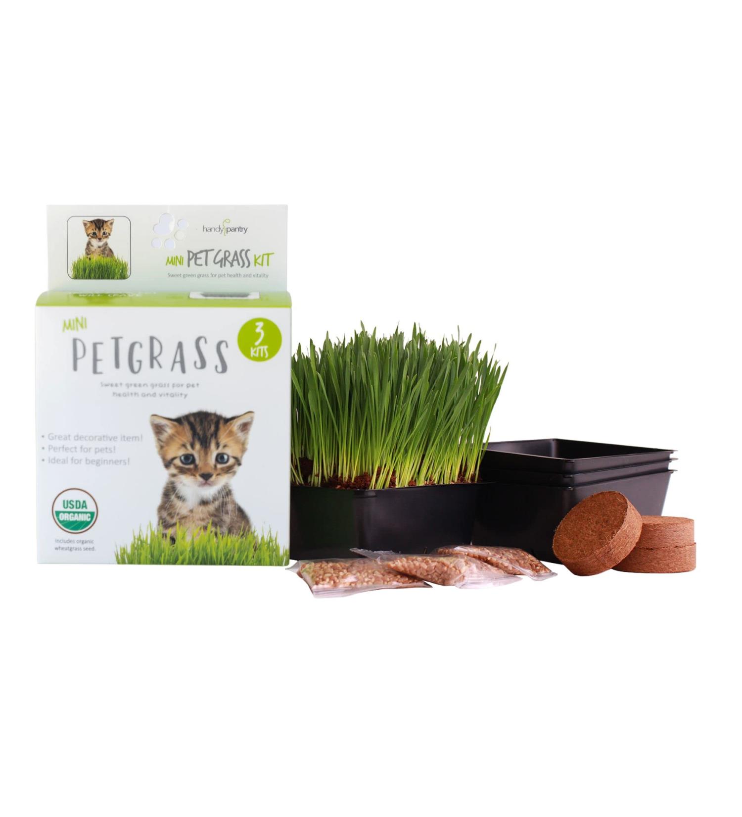 Organic Cat Grass Kit - 3 Trays, Soil Pucks & Non GMO Wheatgrass Seeds - Healthy Treat for Cats, Dogs, Rabbits & More - Buy Online on GoSupps.com