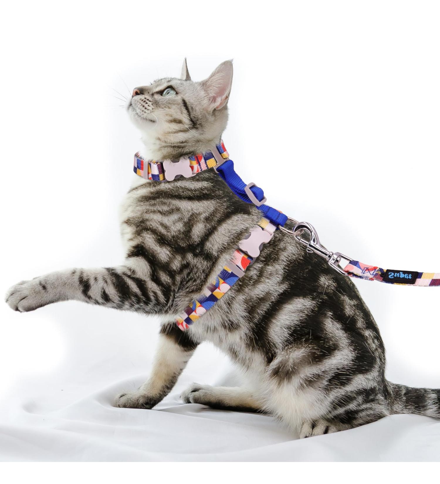 Supet Adjustable Cat Dishes Set with Leash - Outbreak-Proof for Large & Small Cats Kitten Dishes Blue (25.5-40.5cm) - Buy Online on GoSupps.com