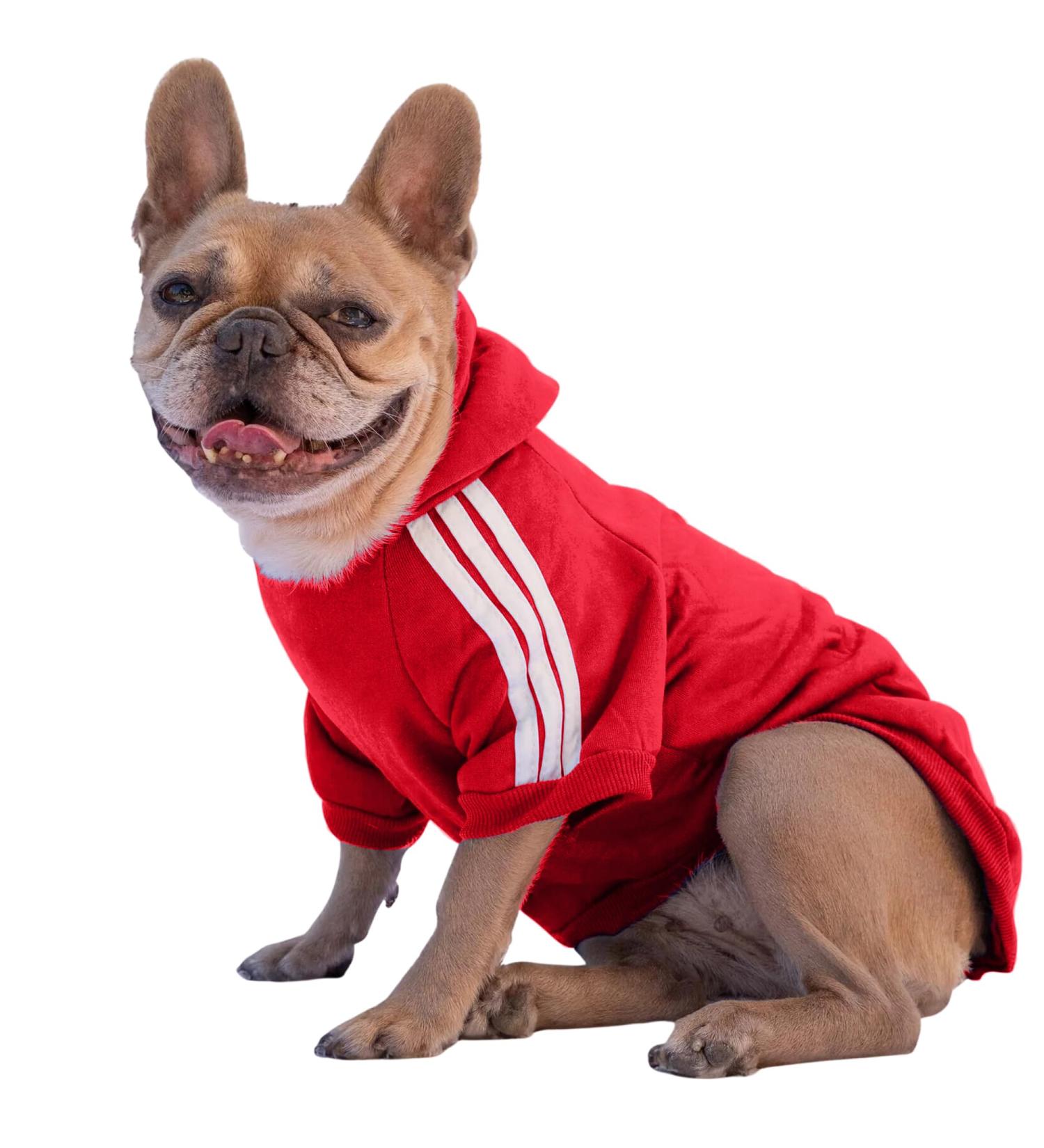 Ducomi Warm & Soft Dog Sweater with Hood - All Sizes & Breeds - Red - Perfect for Pets & Puppies - Buy Online on GoSupps.com