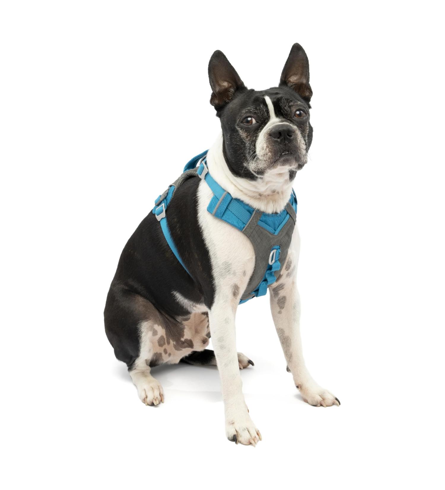 Kurgo Journey Air Dog Harness - Padded Chest & Back Handle for Dogs 2-5 kg XS Size - Blue/Gray - Buy Online on GoSupps.com