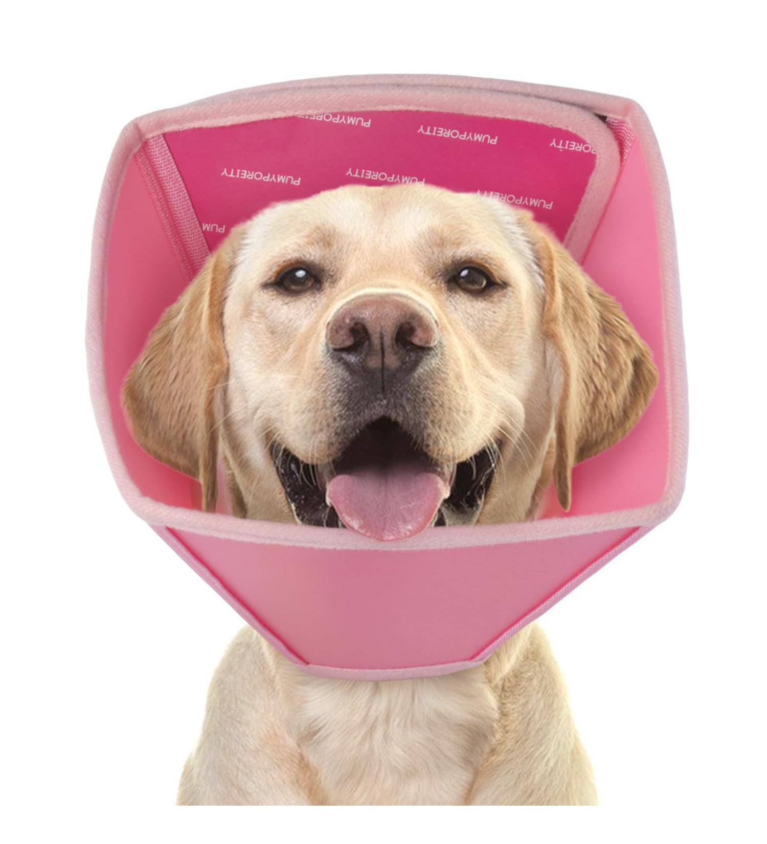 Adjustable XL Pink Pet Collar | Comfortable Protective Collar for Dogs | Velcro Fastener & Kegel Neck Straps | Post-Op Wound Protection - Buy Online on GoSupps.com