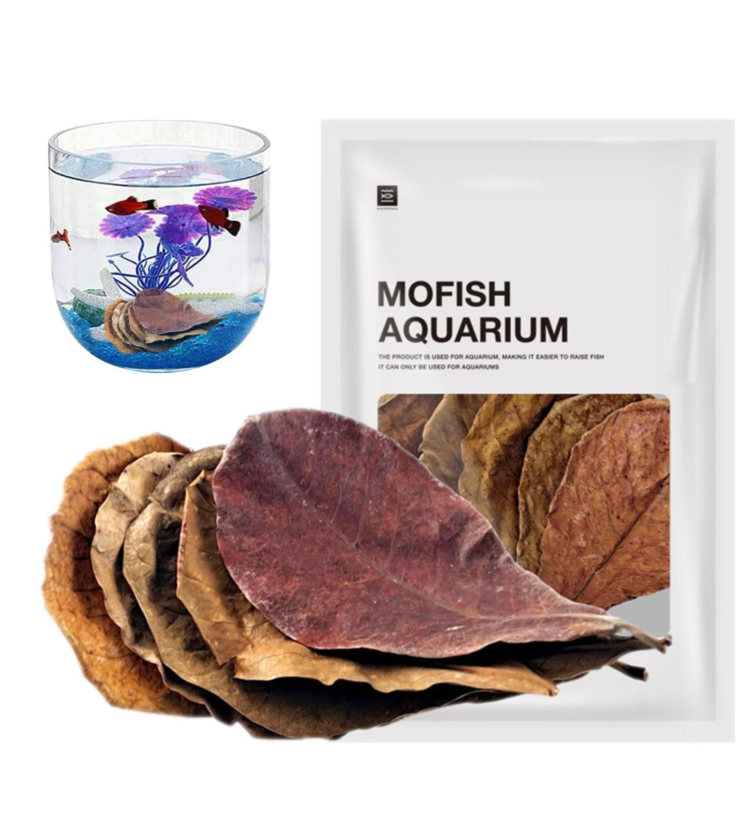 Catappa Leaves for Hermit Crabs Natural Safe Indians Almond Leaves as Hiding Catappa Indians Almond Leaves for Fish Tank Pond & Aquariums Shakven - Buy Online on GoSupps.com