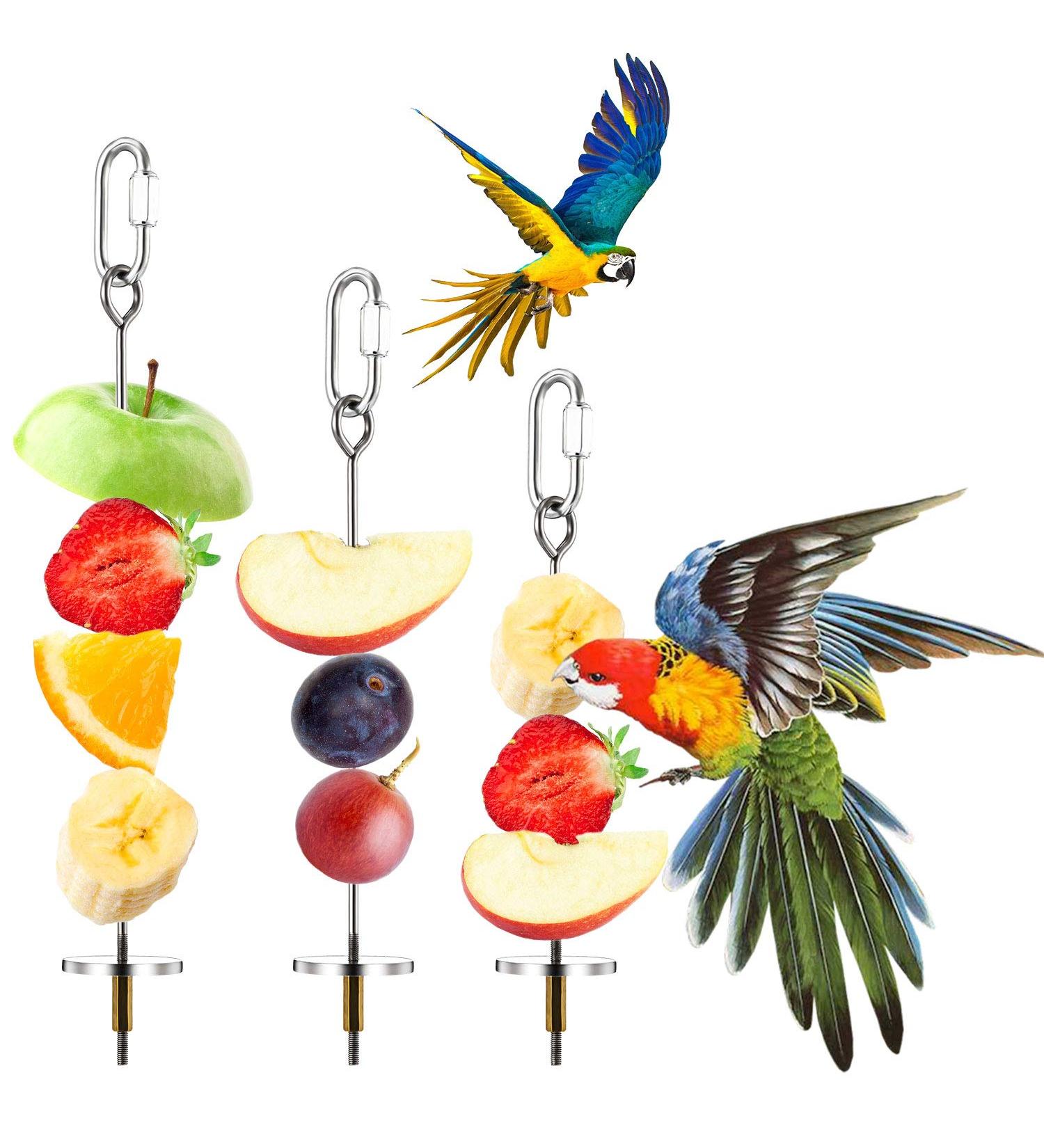 3PCS Stainless Steel Bird Skewers - Foraging Food Holder for Parrots & Small Animals - 20x16x12cm - Buy Online on GoSupps.com