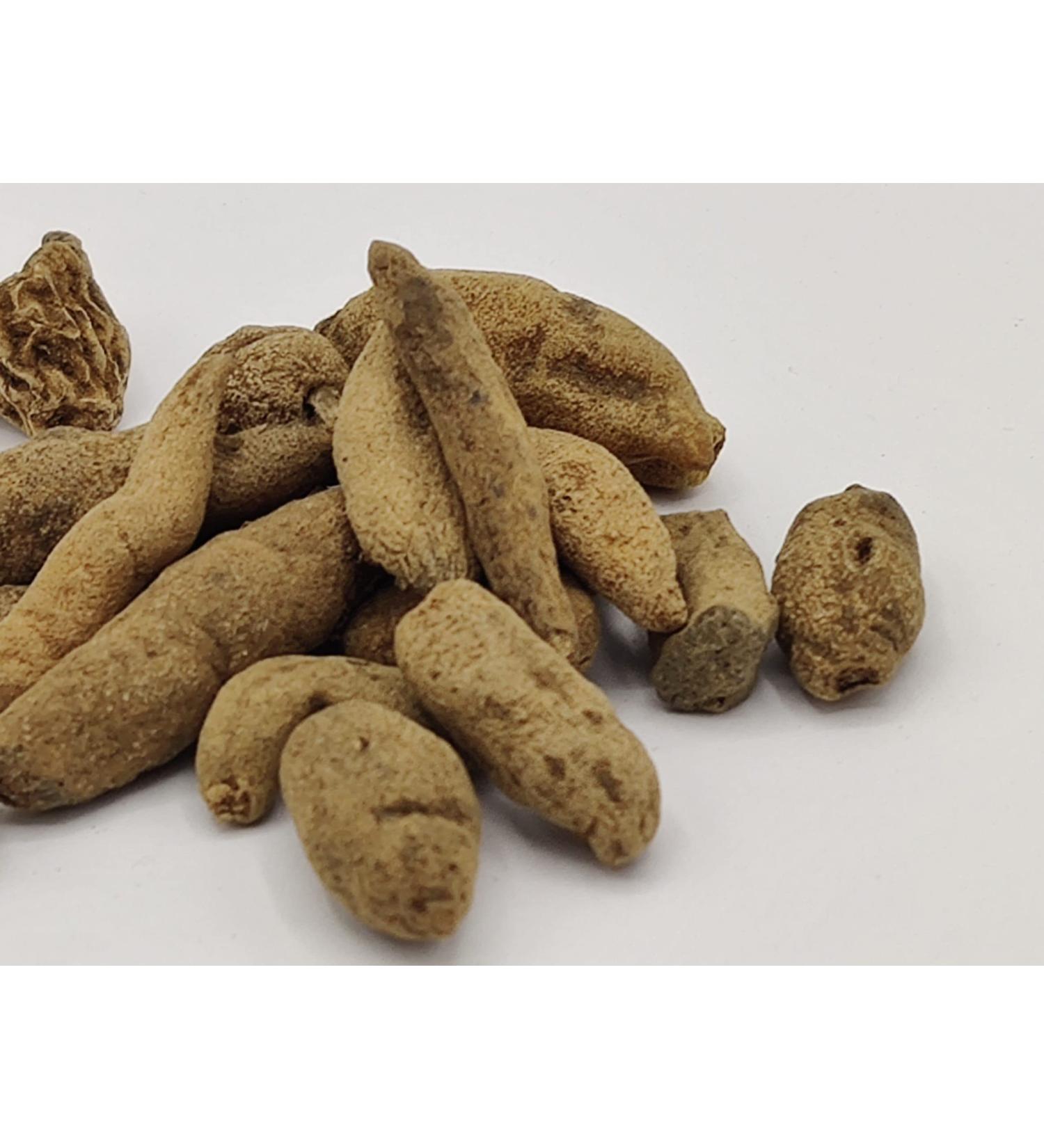 RAW HERBS/JADI BOOTI DRIED RIDHI VRIDHI HABENARIA INTERMEDIA (100GM) - Buy Online on GoSupps.com