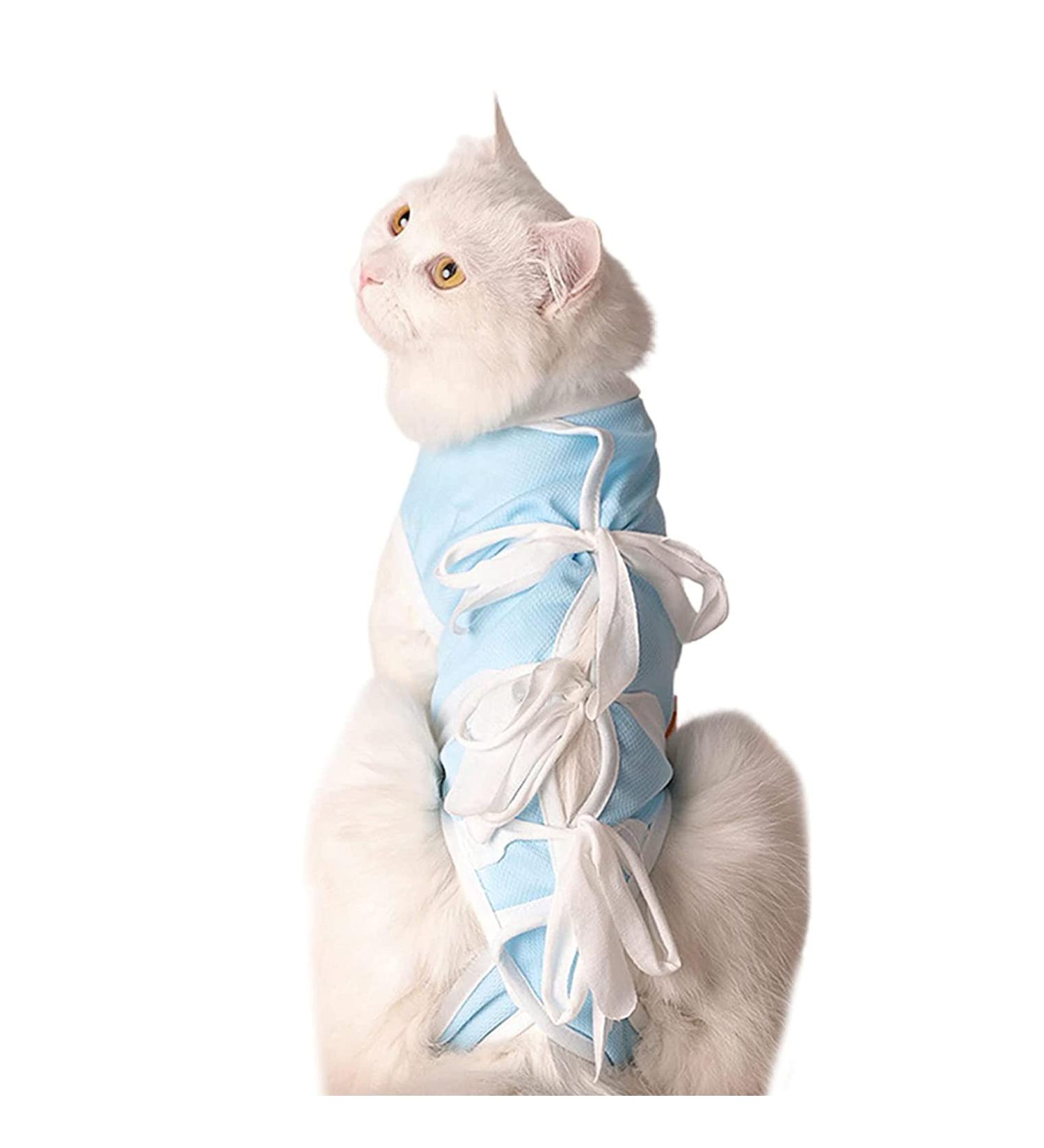 Adjustable Cat Protection Suit | Professional Recovery Suit for Abdominal Wounds & Skin Diseases | Post-Op Castration Pet Suit (M) - Blue - Buy Online on GoSupps.com