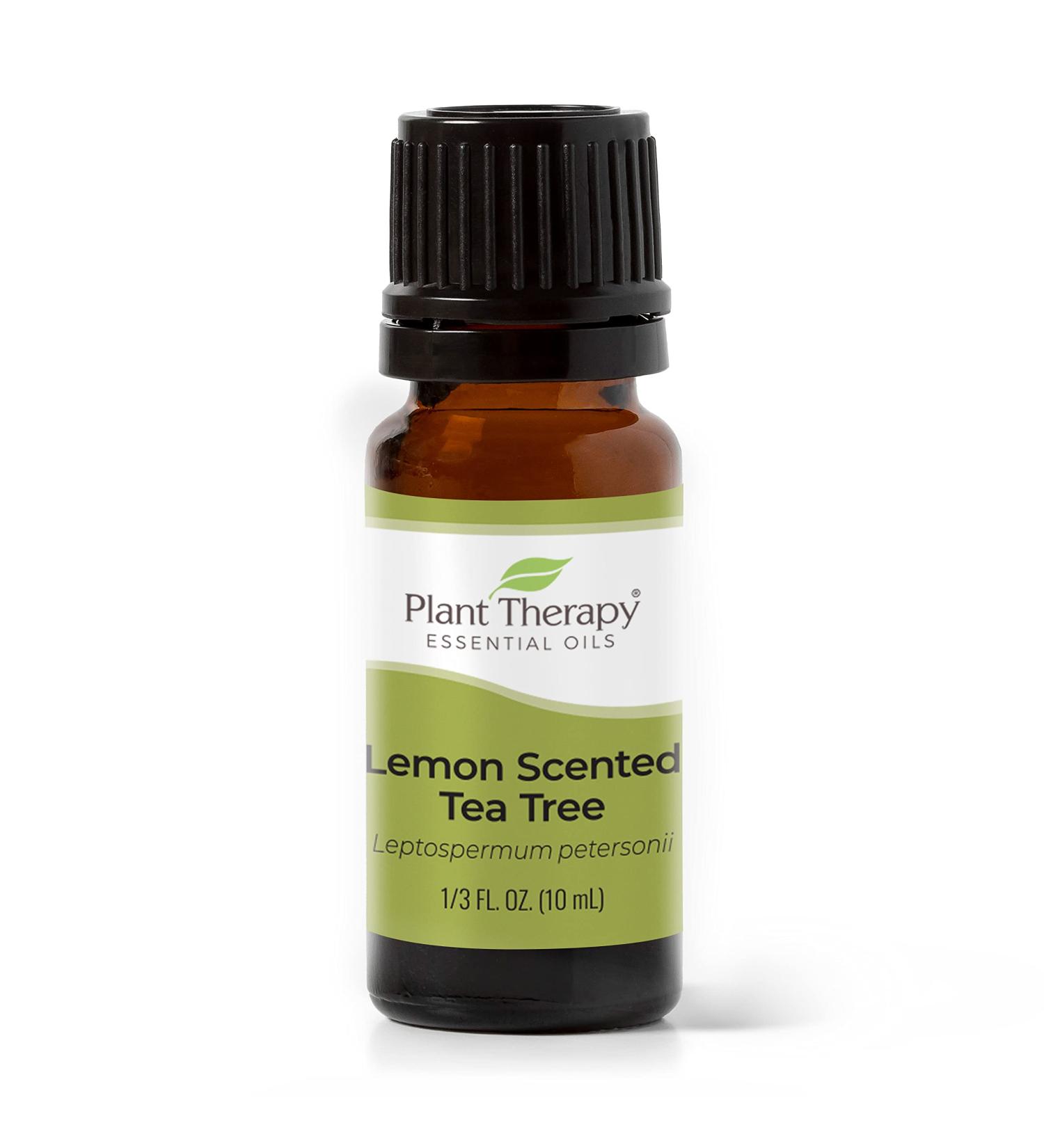 Buy Plant Therapy Lemon Scented Tea Tree Essential Oil 10 mL 100% Pure Natural Aromatherapy for Uplifting Refreshing & Deodorizing Aroma International Shipping Available - Buy Online on GoSupps.com