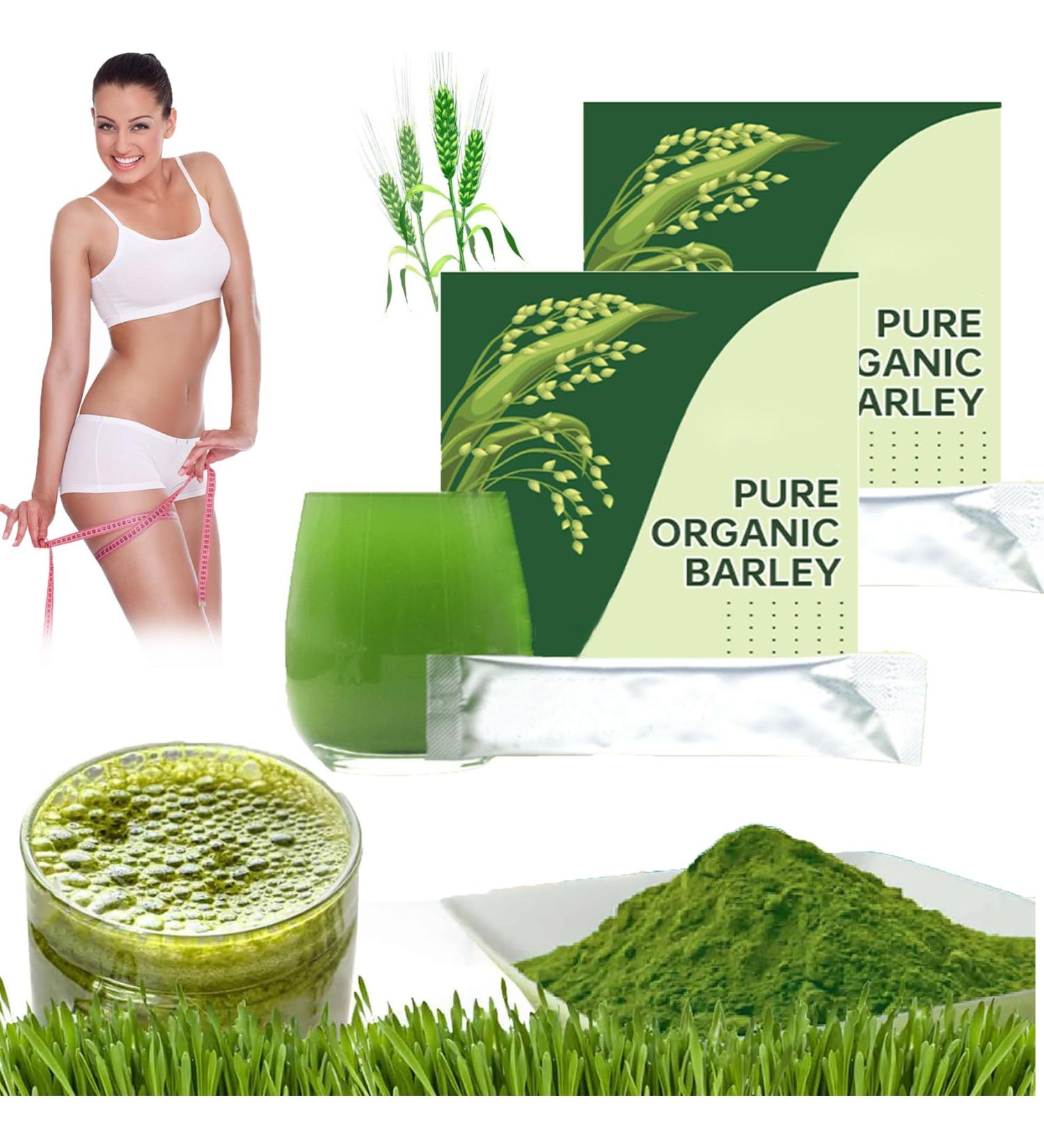 Naveta Barley Grass Powder - 2023 Best Barley Grass Powder Barley Grass Juice Powder 100% Pure & Organic Barley Grass Powder For Women And Men Vegan Friendly (2 Box)