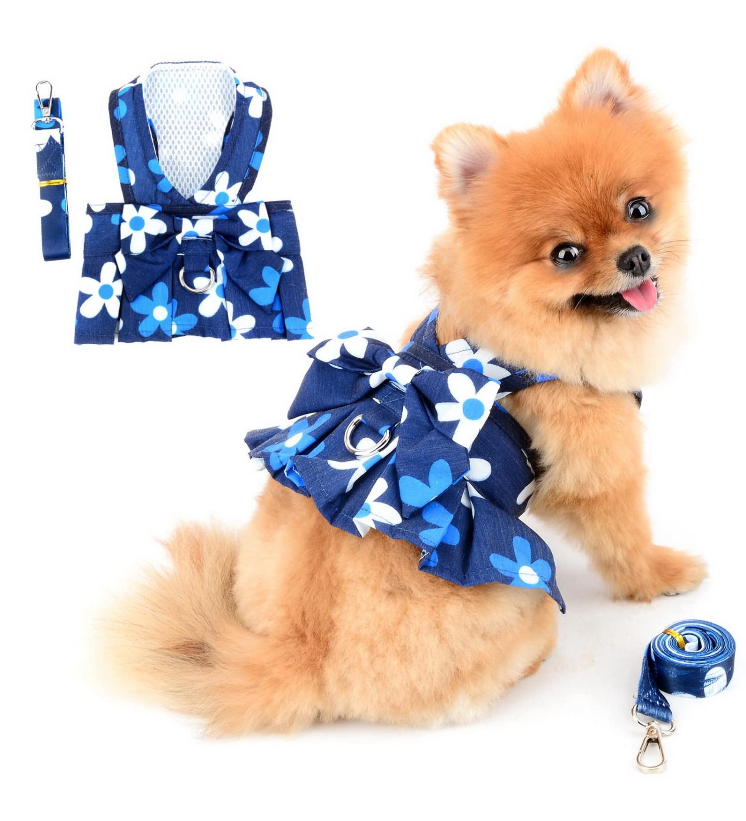 Paidful Dog Harness Dress for Small Dogs & Cats | Colorful Floral Tutu Rock Mesh | Breathable Pet Clothing with 1.6m Leash | Perfect for Mini Puppies & Yorkies | Spring Blue XL - Back Length 35cm Bust 47cm - Buy Online on GoSupps.com