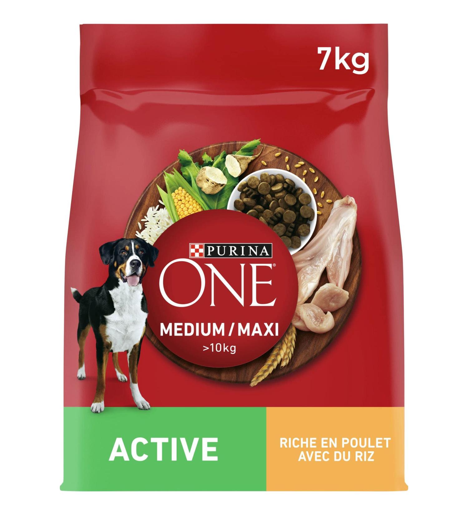 PURINA ONE Medium/Maxi 10kg Active | Chicken Rich Dry Food for Adult Dogs | 7 kg Bag - Buy Online on GoSupps.com