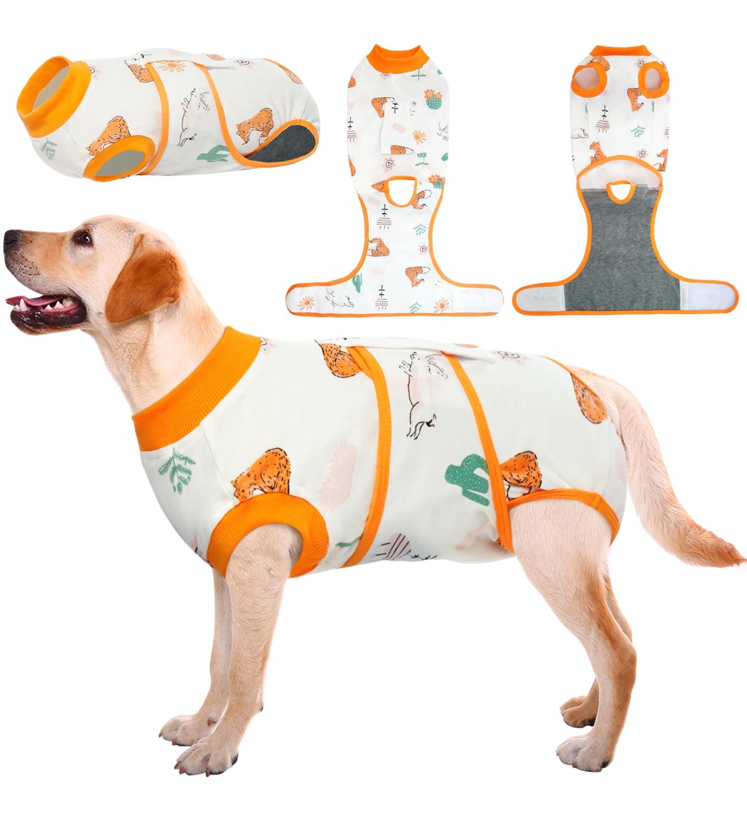 Kuoser Dog Recovery Suit for Male Dogs - Post-Op Body with Leakage Protection Breathable Anti-Licking Design - Orange L (1 Pack) - Buy Online on GoSupps.com