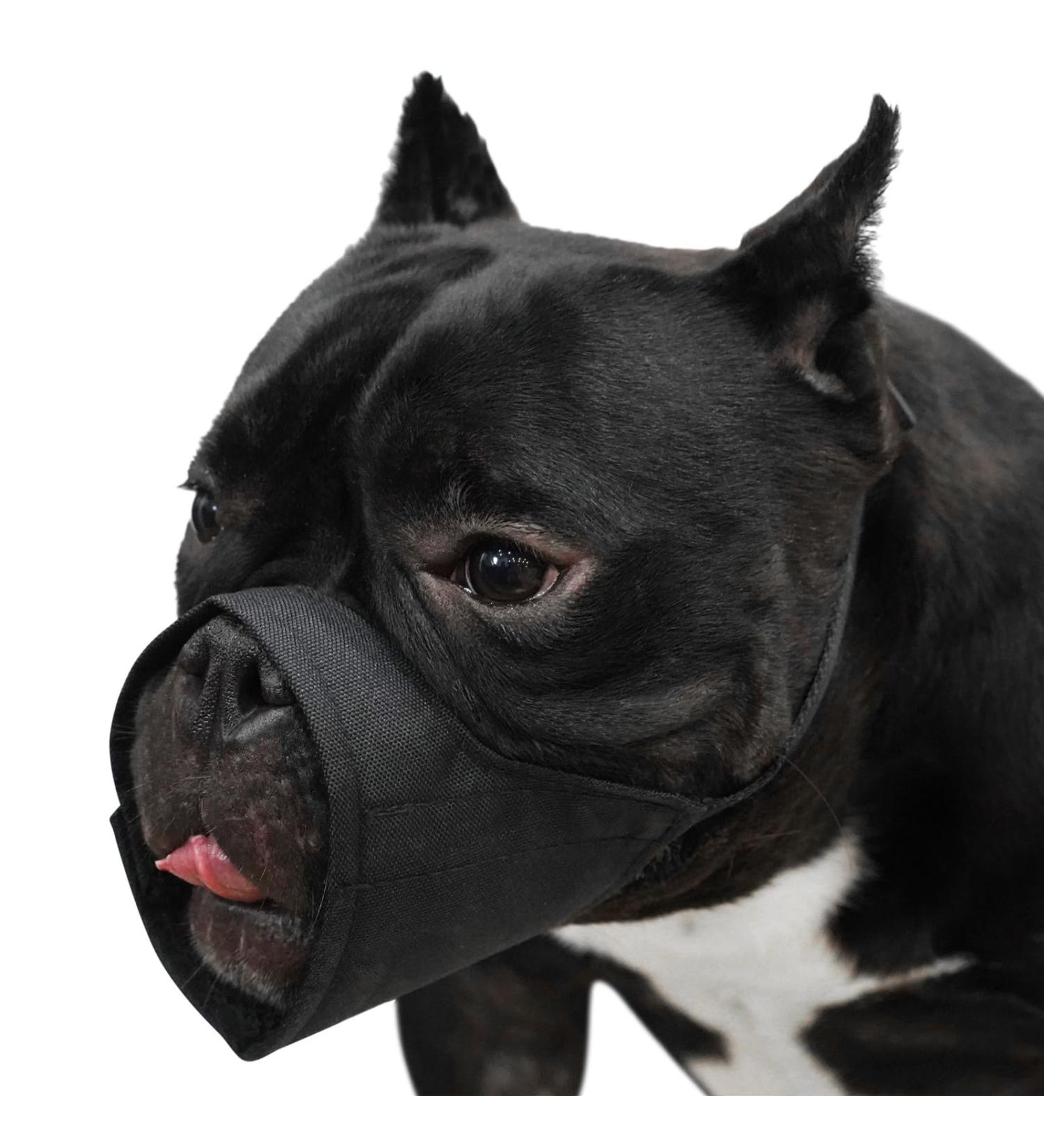 Mayerzon Soft Muzzle for Dogs | Perfect Fit for Small to Large Breeds | Ideal for Chihuahua Shih Tzu American Bulldog | Fur Care | Size M (Snout CIR: 7-8.25) - Buy Online on GoSupps.com