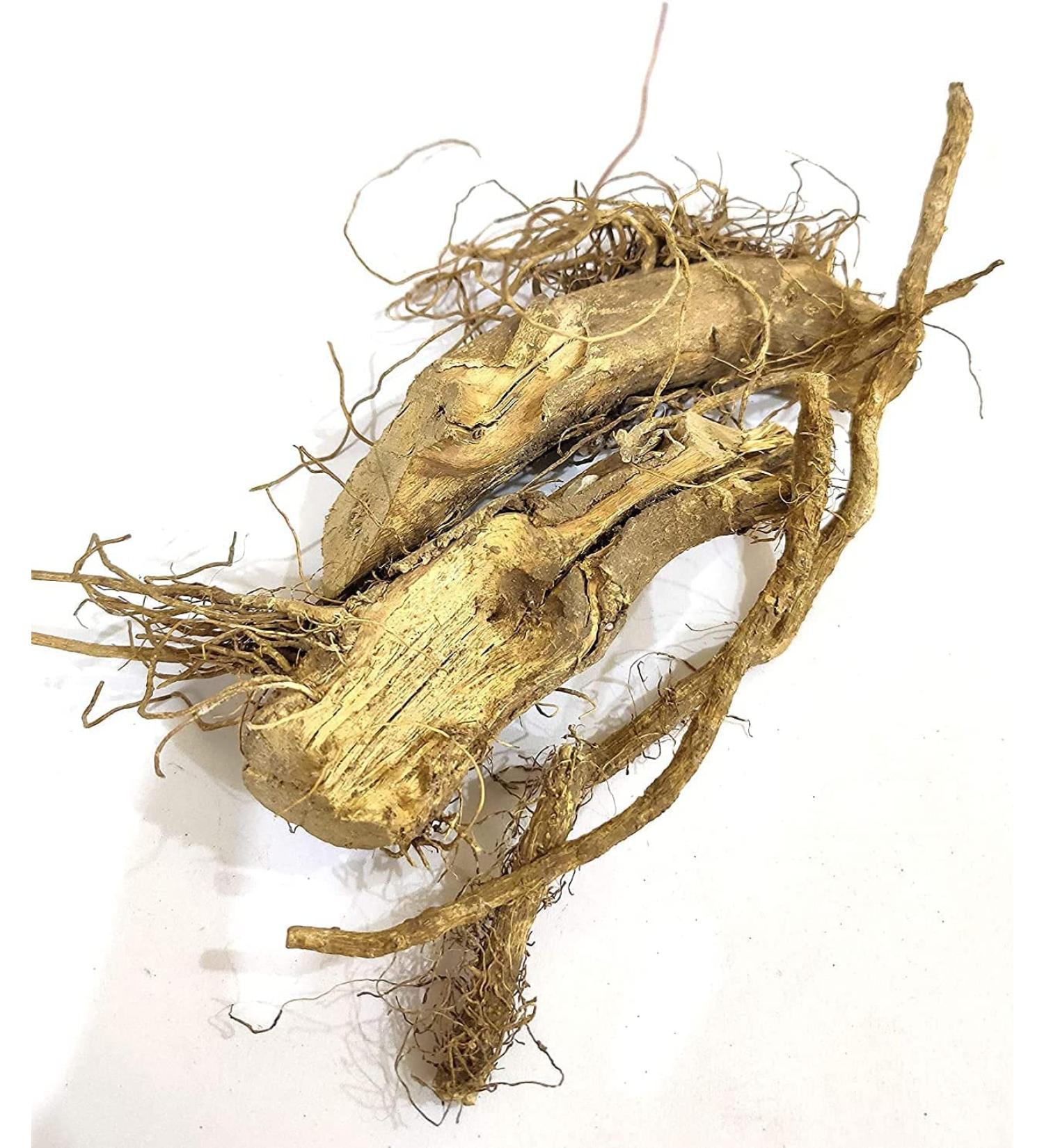CROW Kateri Jad Root - Solanum Xanthocarpum Bhatkatiya Root Kantakari - Katehli Katehri - (Ringni Mool) Kateli (500 GMS)