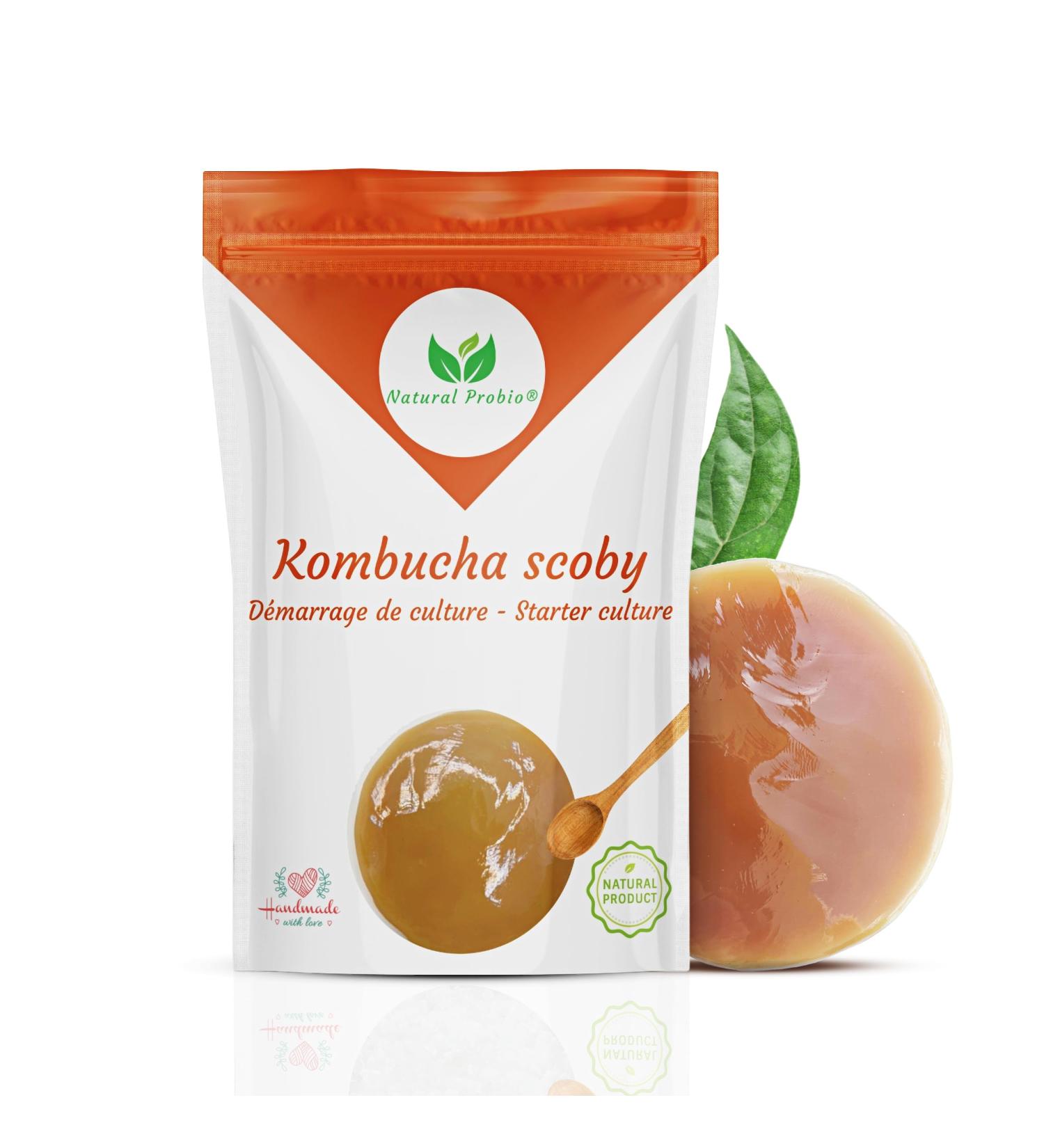 Natural Probio Original Kombucha Scoby - Culture Starter Kit | Authentic Kombucha Mother + Instructions Recipe Tips & Free E-Book - Buy Online on GoSupps.com