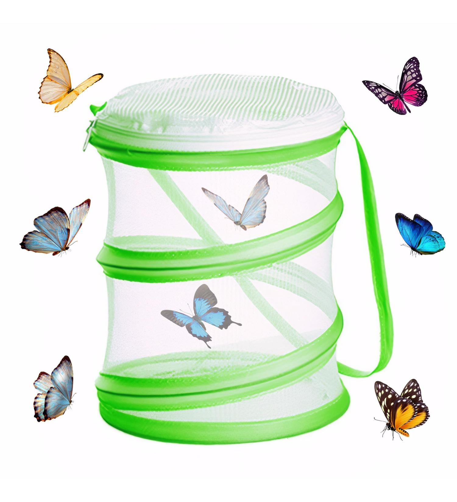 WUISOLQP Insect Butterfly Habitat Cage - Portable Collapsible Bug Catcher Net for Kids - Science Education Starter Kit (Green) - Buy Online on GoSupps.com