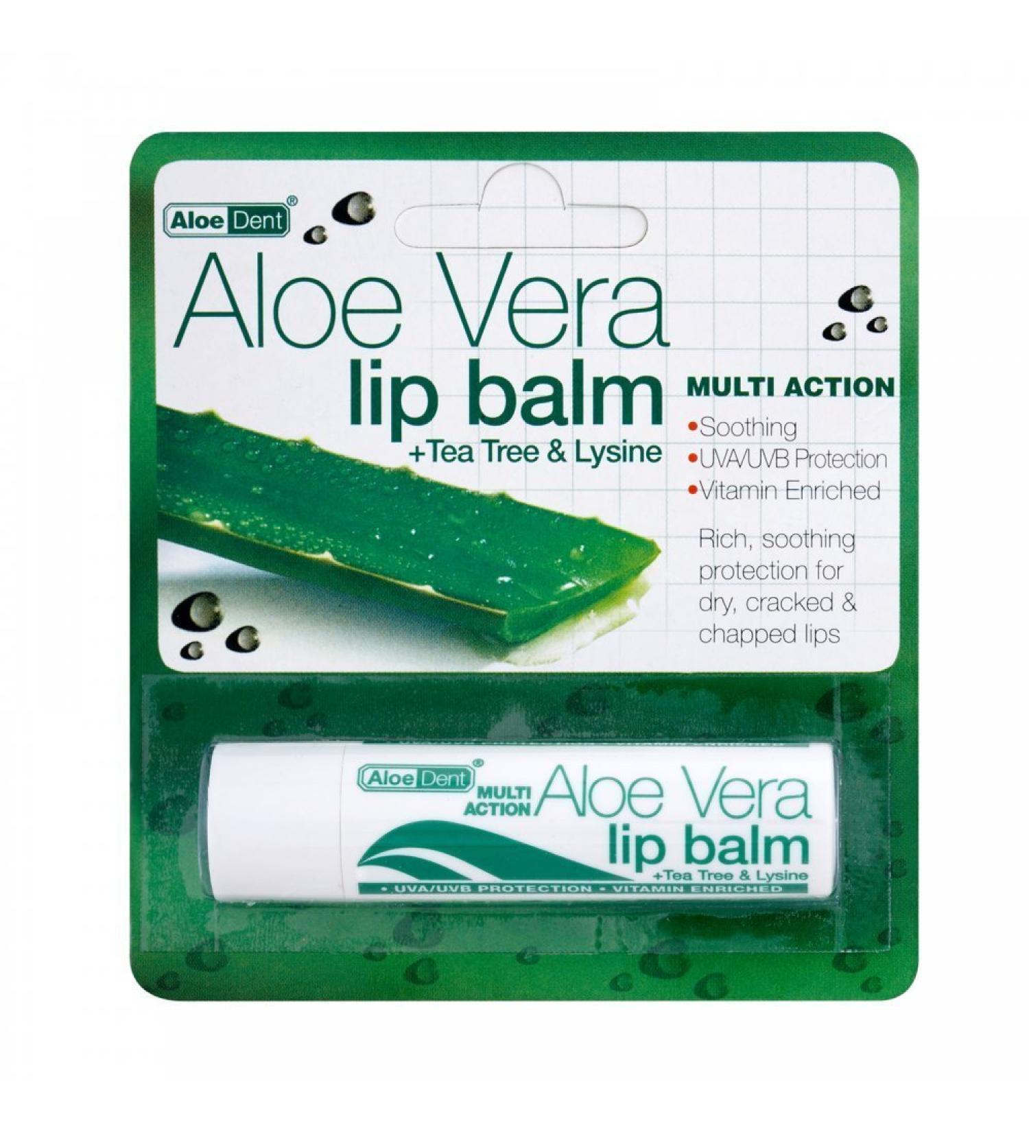 Aloe Dent Aloe Vera Lip Balm-10 Pack