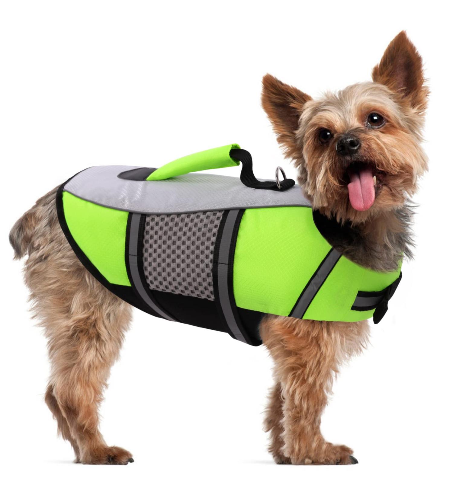 Buy Cit toile Life Jacket for Small Dogs - Adjustable & Lightweight Buoyant Safety Gear for Chihuahua Dachshund Bulldog - Perfect for Water Sports - GRUN L Green M - Buy Online on GoSupps.com
