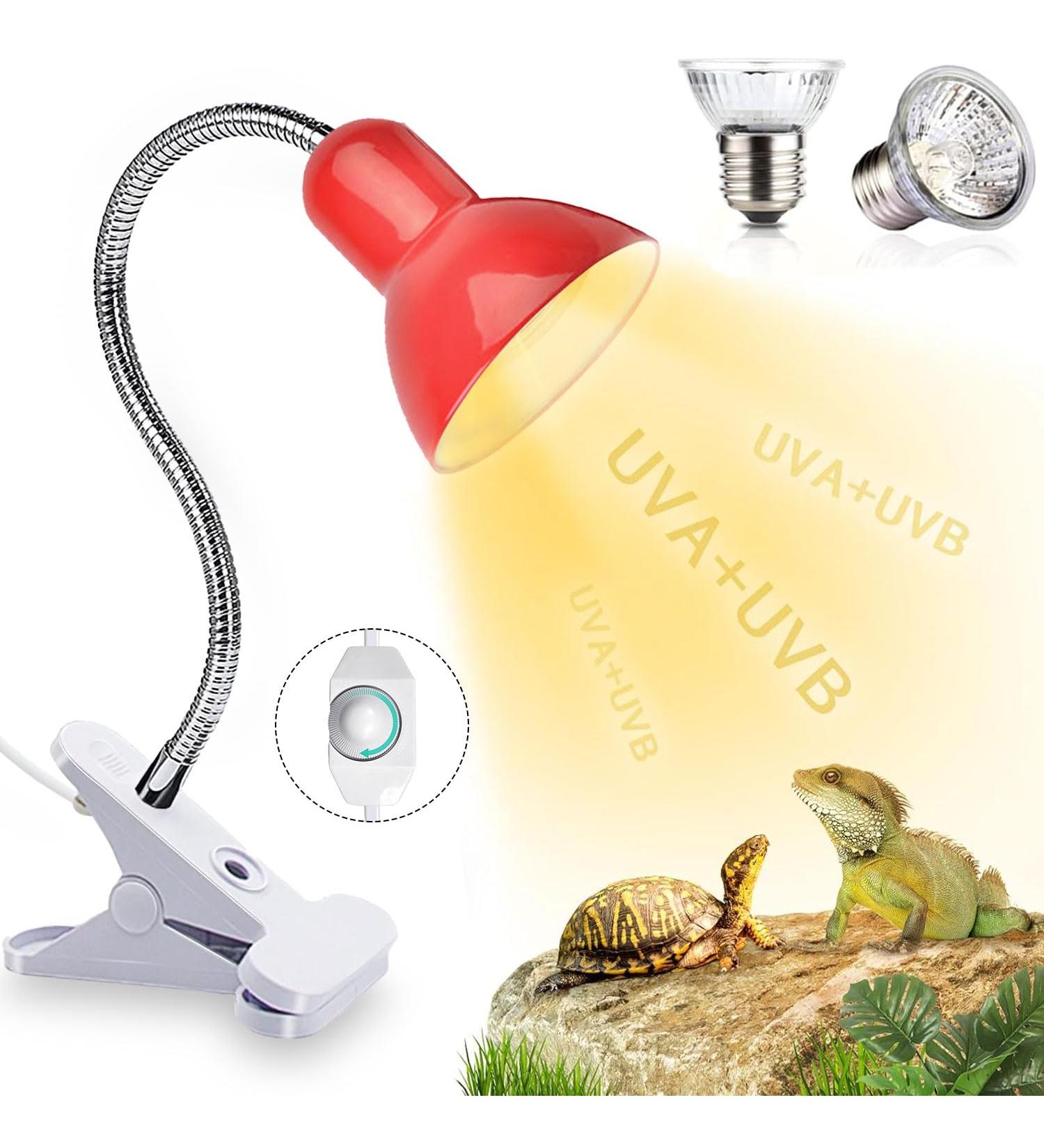 Shengruili Turtle Heat Lamp | 25W & 50W Reptile Lamp for Terrariums - Perfect Heat Solution for Turtles - Buy Online on GoSupps.com