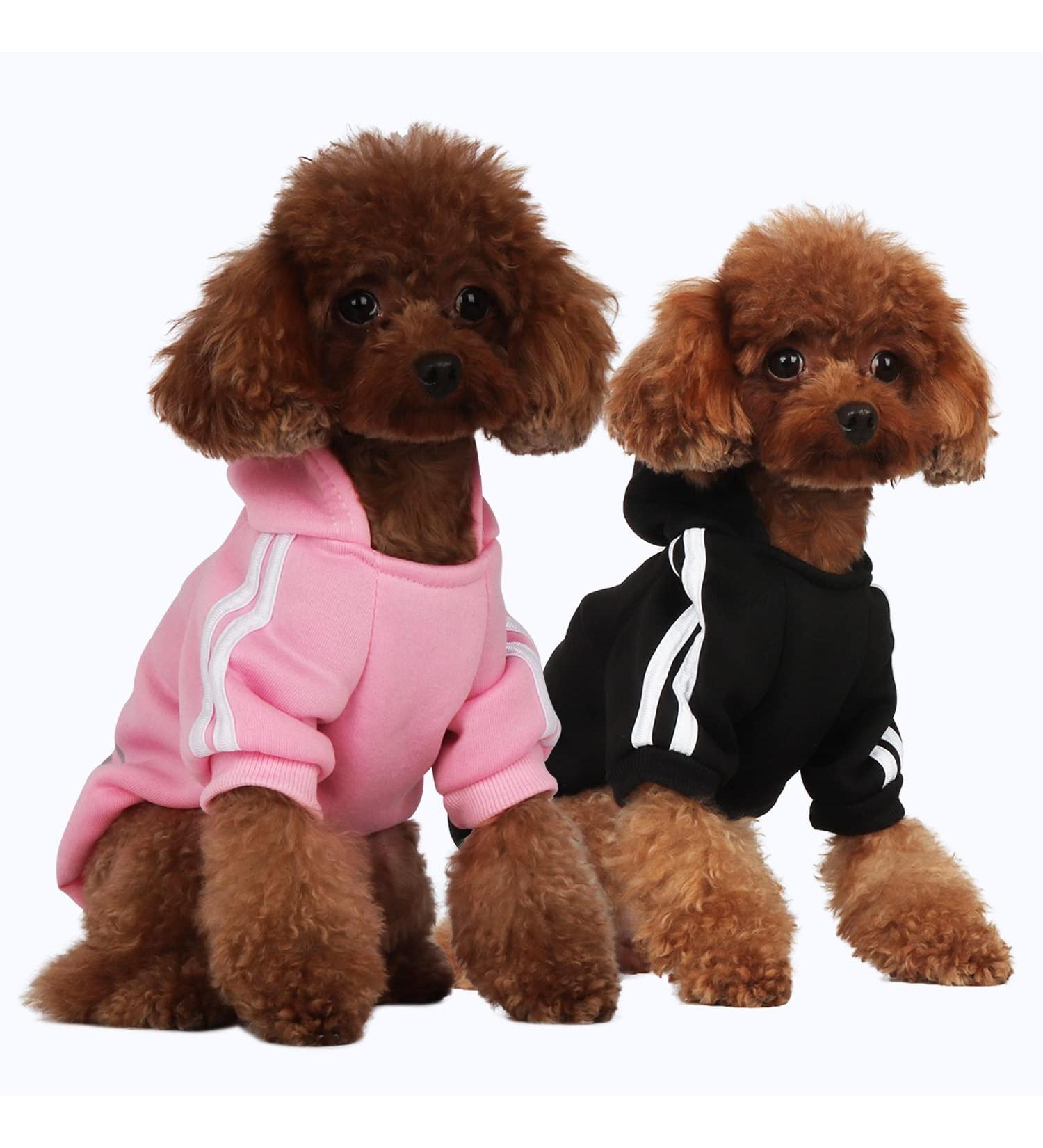 Fashion Dog Hoodie - Cotton Streetwear Sweatshirt for Small & Medium Dogs - Stylish Outfits for Puppies & Cats (Black/Pink XS) - Buy Online on GoSupps.com