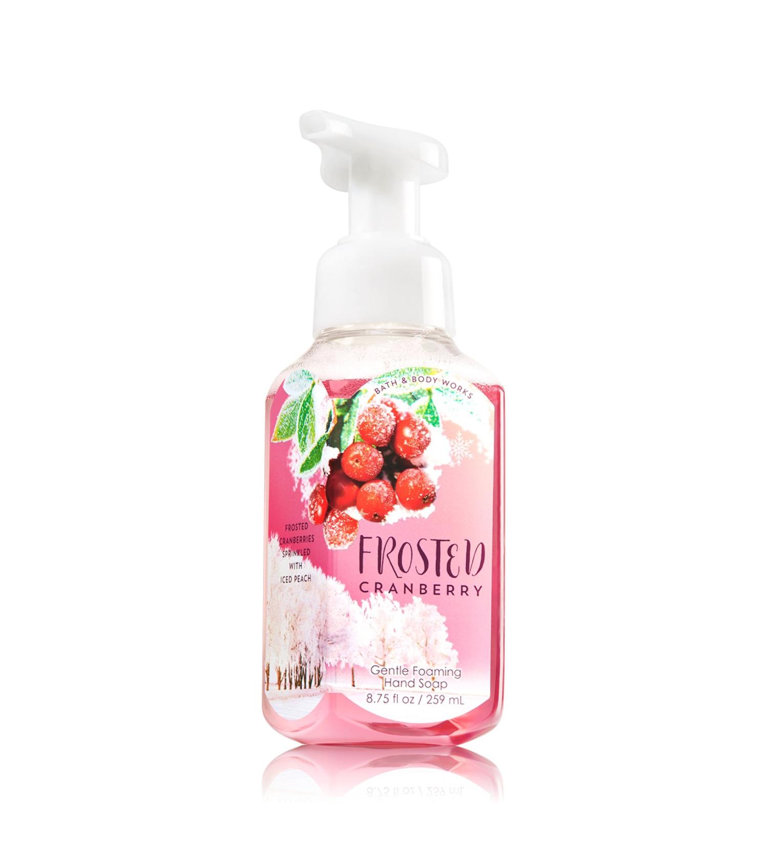 FROSTED CRANBERRY Gentle Foaming Hand Soap