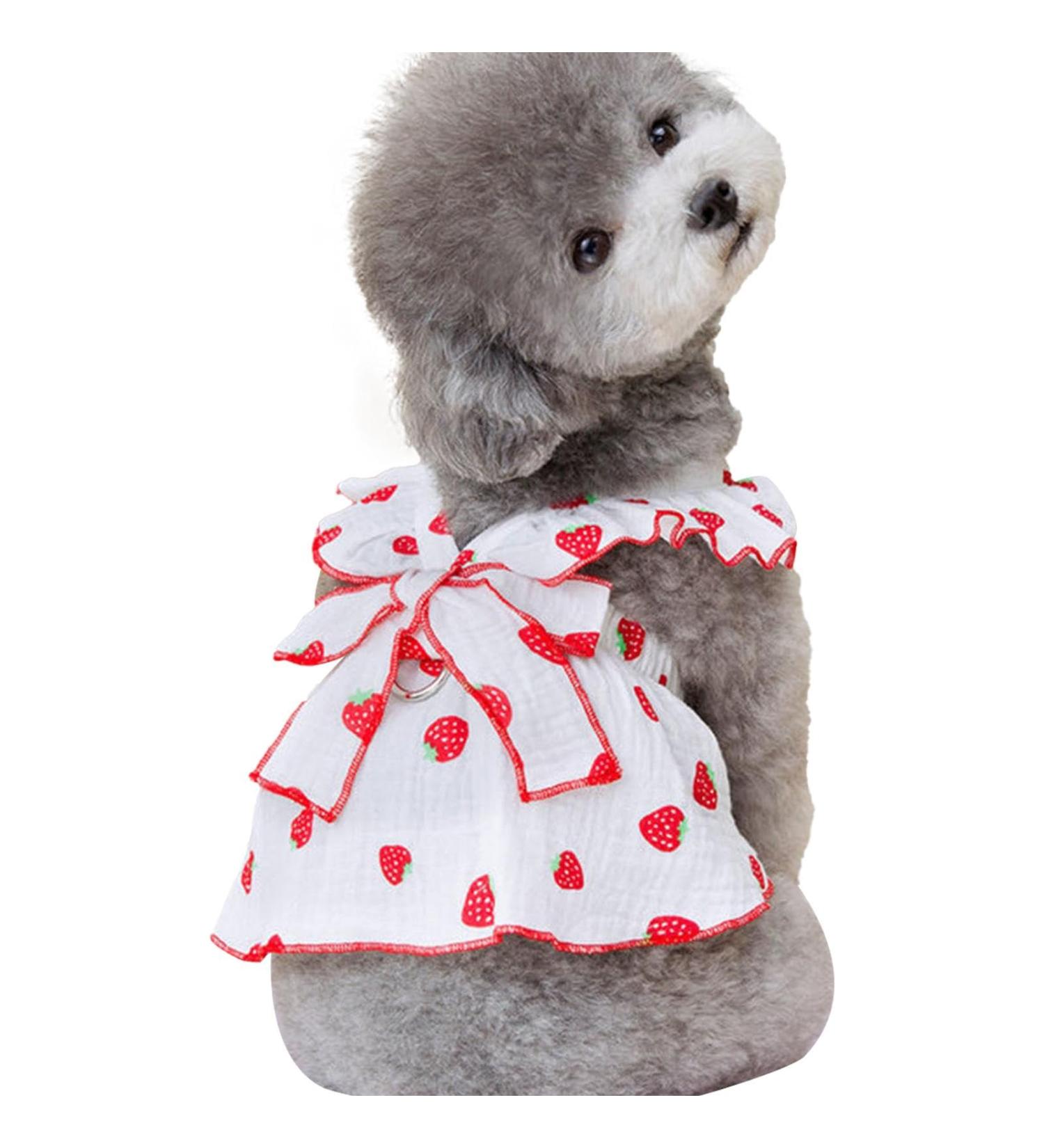 Shenrongtong Small Dog Dresses for Girls | Adorable Strawberry Print Puppy Clothing | Pet Rock Litter Dresses XS - Buy Online on GoSupps.com