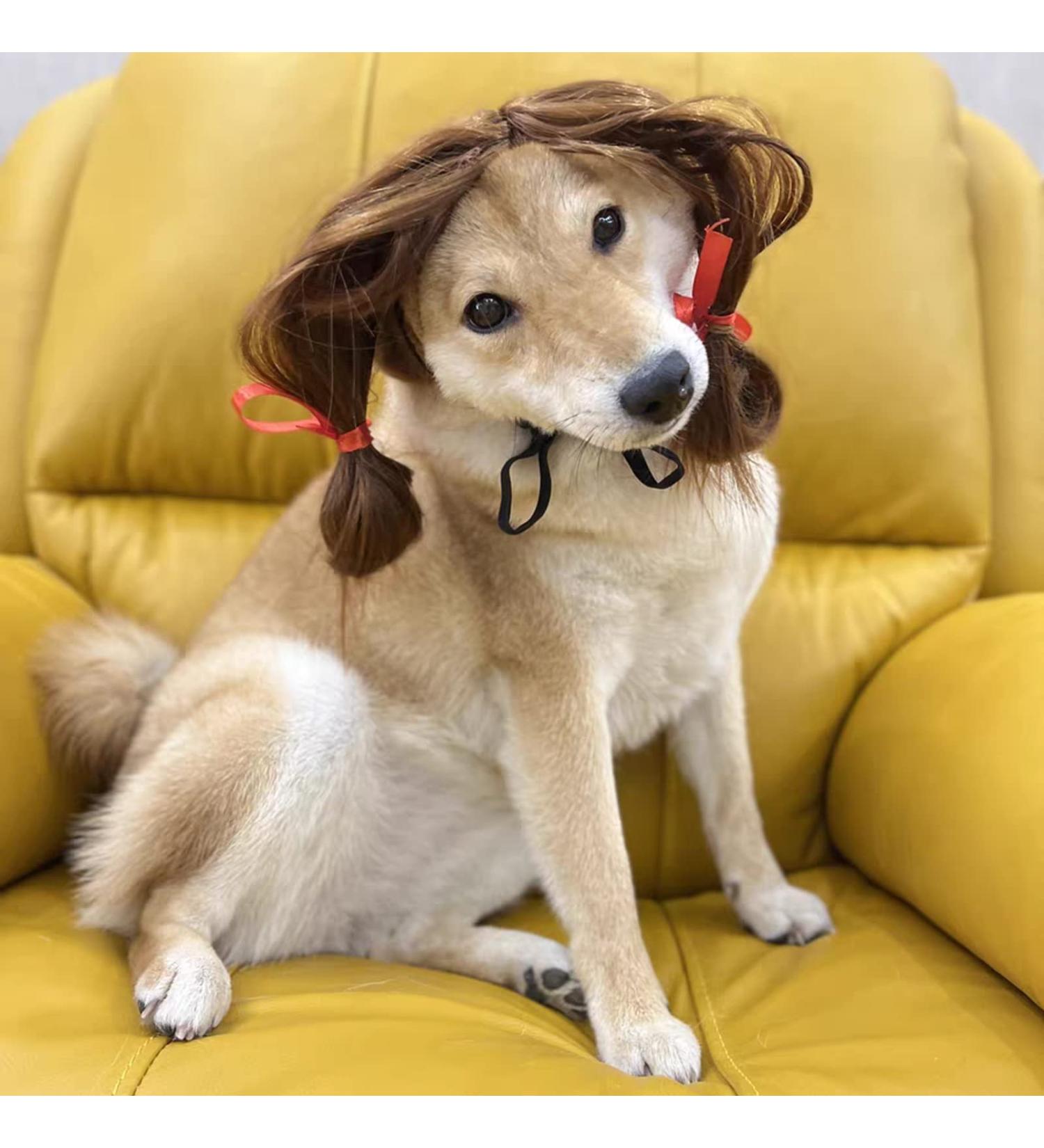 Funny Dog Wig & Cat Role Play Wig - Perfect for Halloween Christmas & Parties - Brown Costumes for Small Medium & Large Pets - Buy Online on GoSupps.com