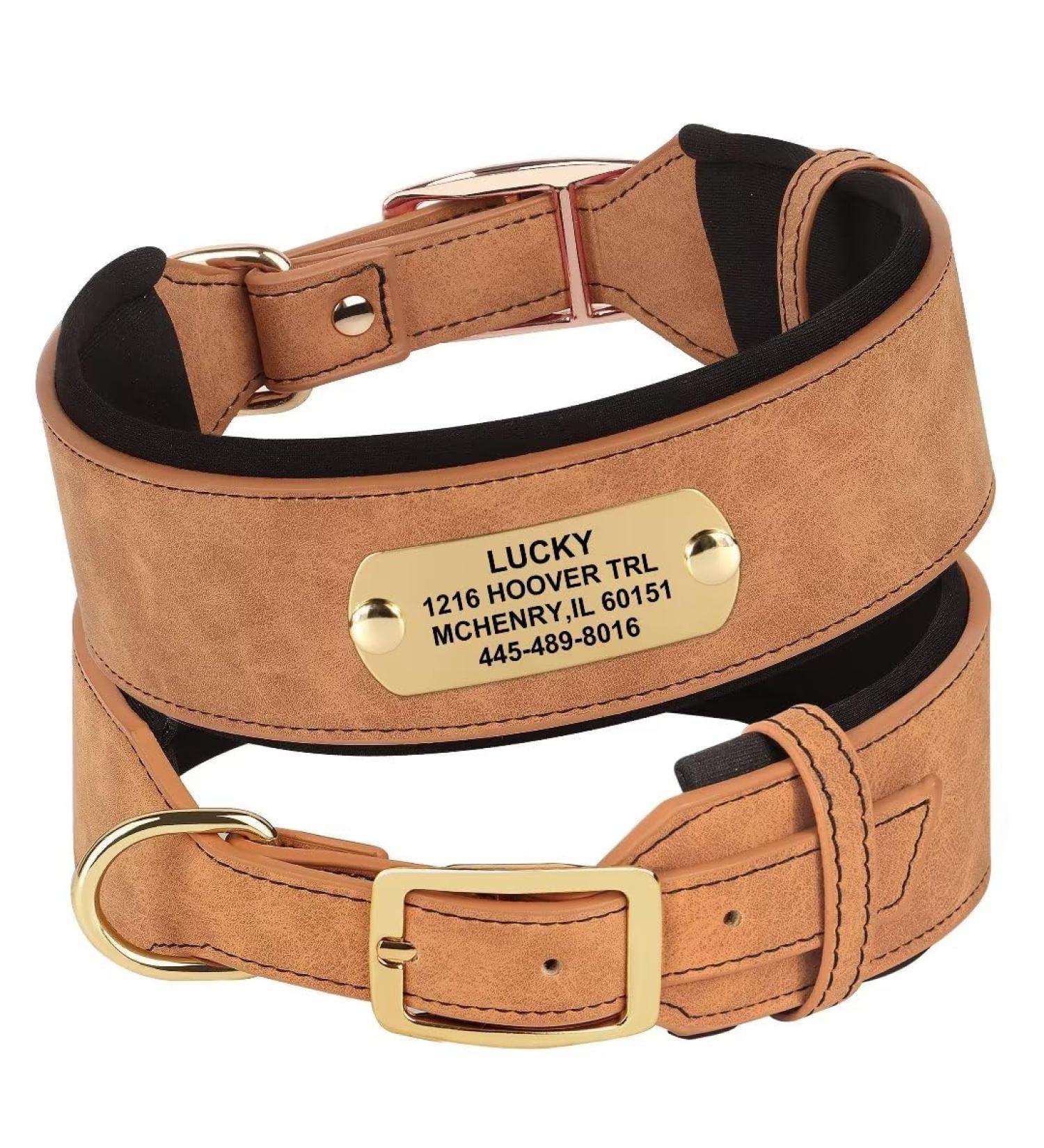 Personalized Dog Collar for Medium Dogs - PU Leather with Engraved Name Tag | Custom Pet Artist Design - Brown 43-51cm Neck - Buy Online on GoSupps.com
