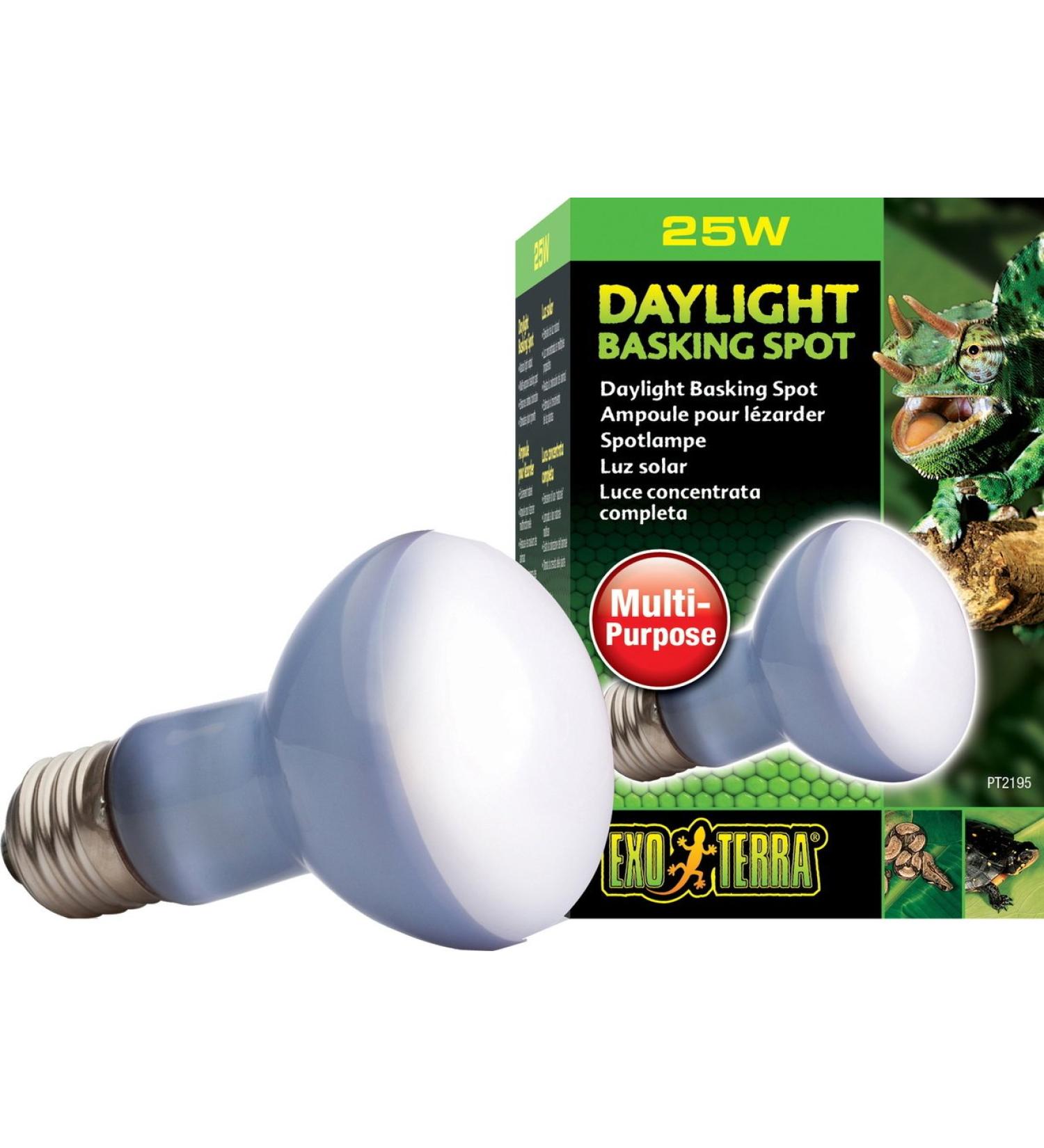 Exo Terra Daylight Basking Spot Lamp - 25W R20 E27 Broad Spectrum Metallic - Ideal for Reptiles & Amphibians | International Shipping Available - Buy Online on GoSupps.com