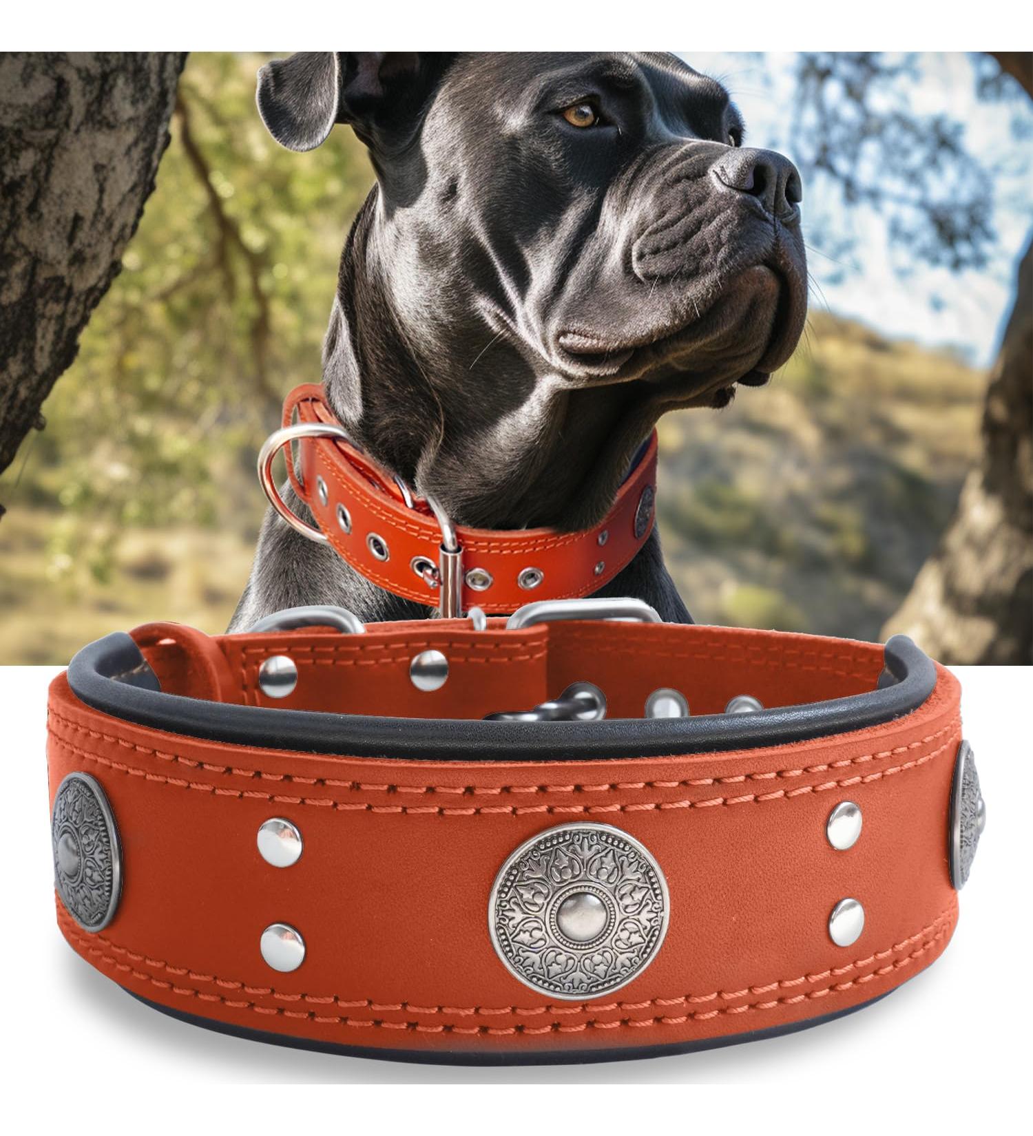 Handmade Leather Dog Collar - 5cm Wide Soft & Luxurious Perfect for Large & Medium Breeds - Orange 49.5-60 cm - Buy Online on GoSupps.com